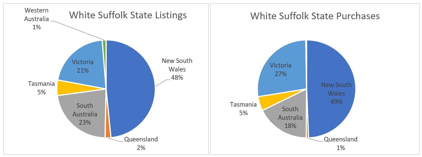 white suffolk listing go baalistic 5