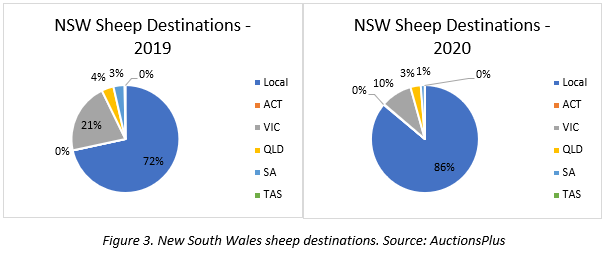 year of the travelling sheep 3