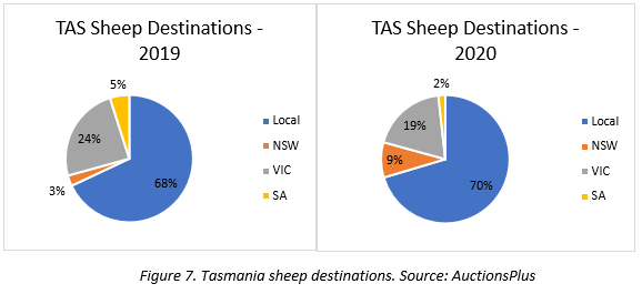 year of the travelling sheep 7