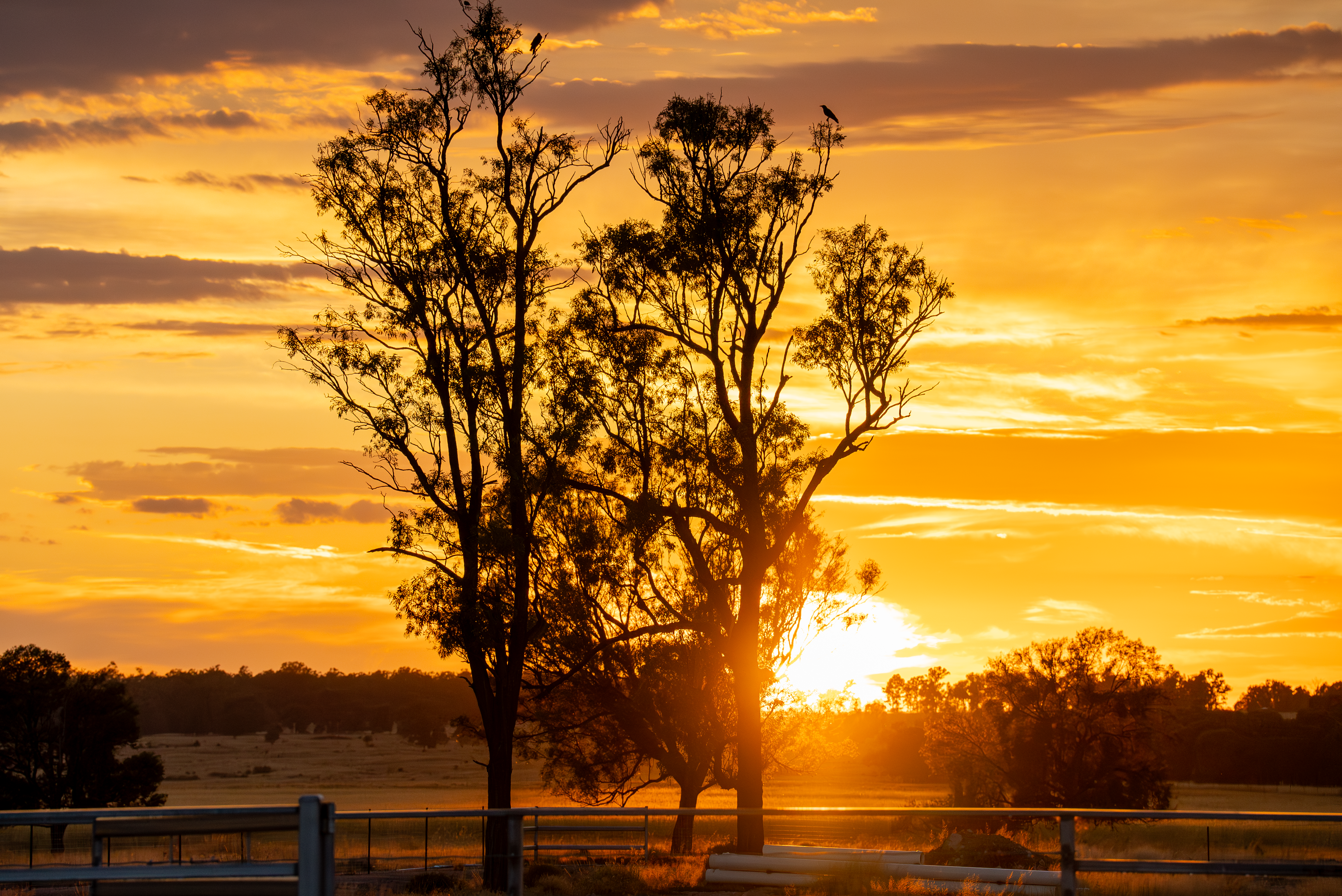 From boom to balance: Rural property hits a new phase of winners and losers