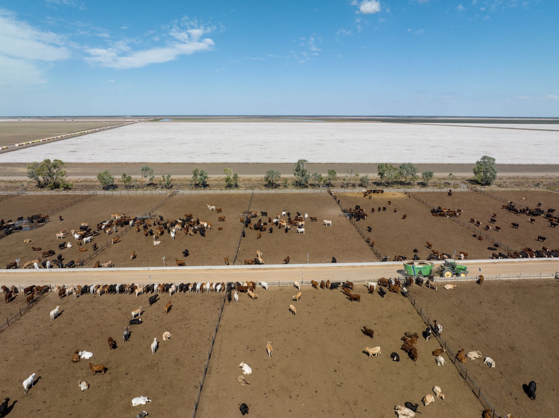 Beef producers holding firm despite market pressures
