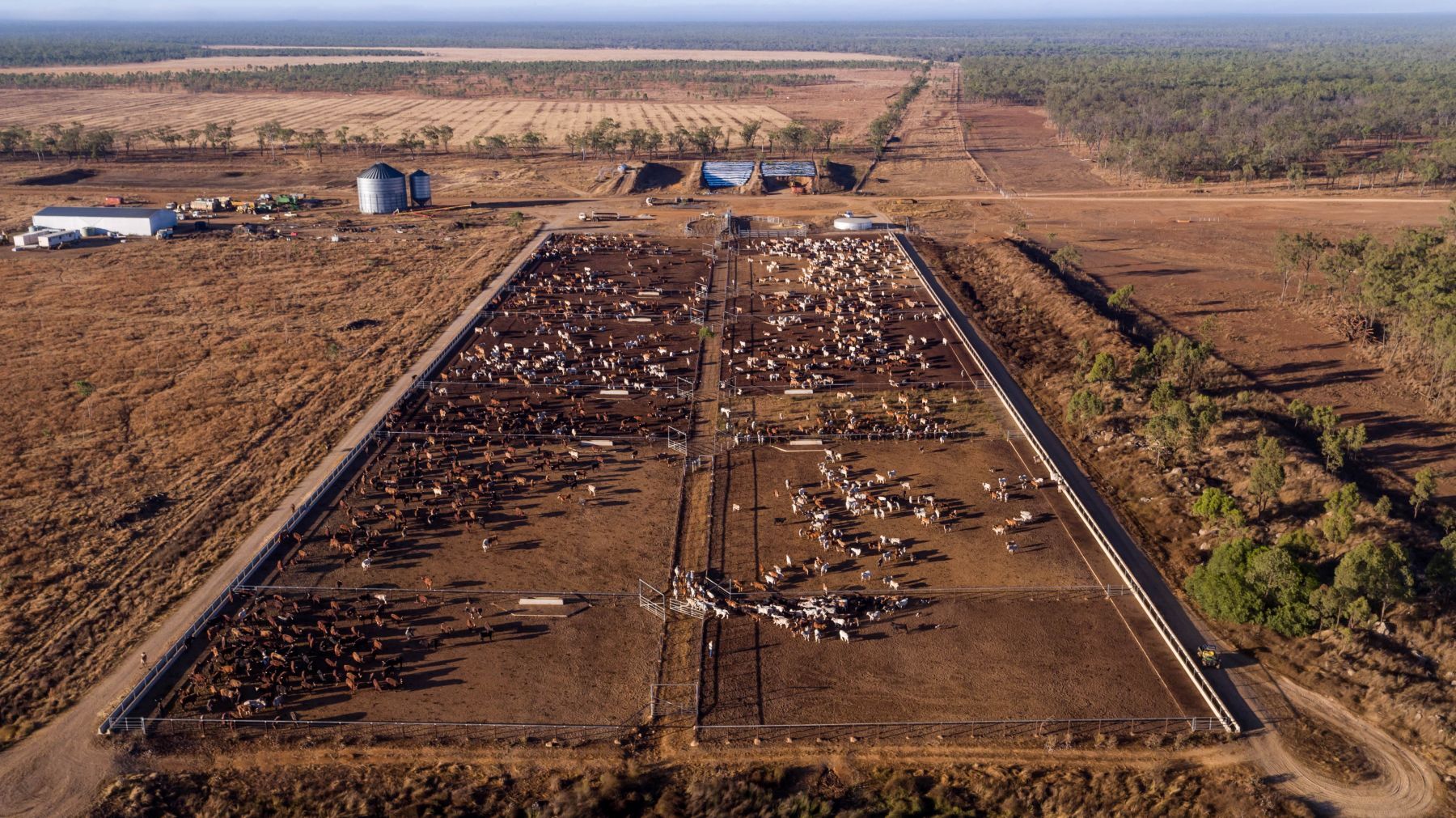 Beef processor conditions recover
