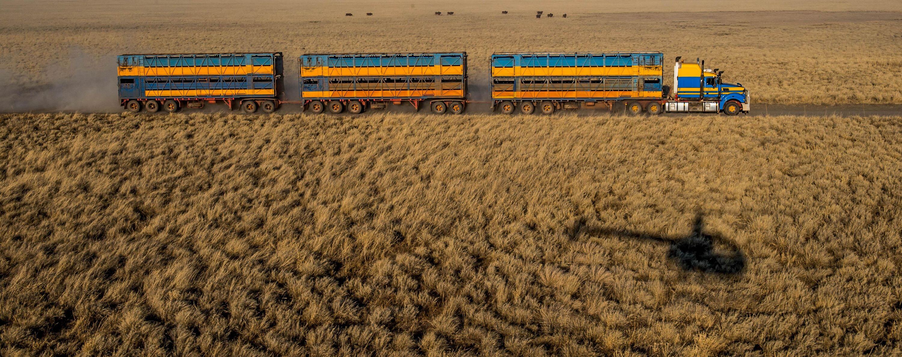 Valentine's Day Machinery sale: Keeping love and Westpac Helicopters in the air