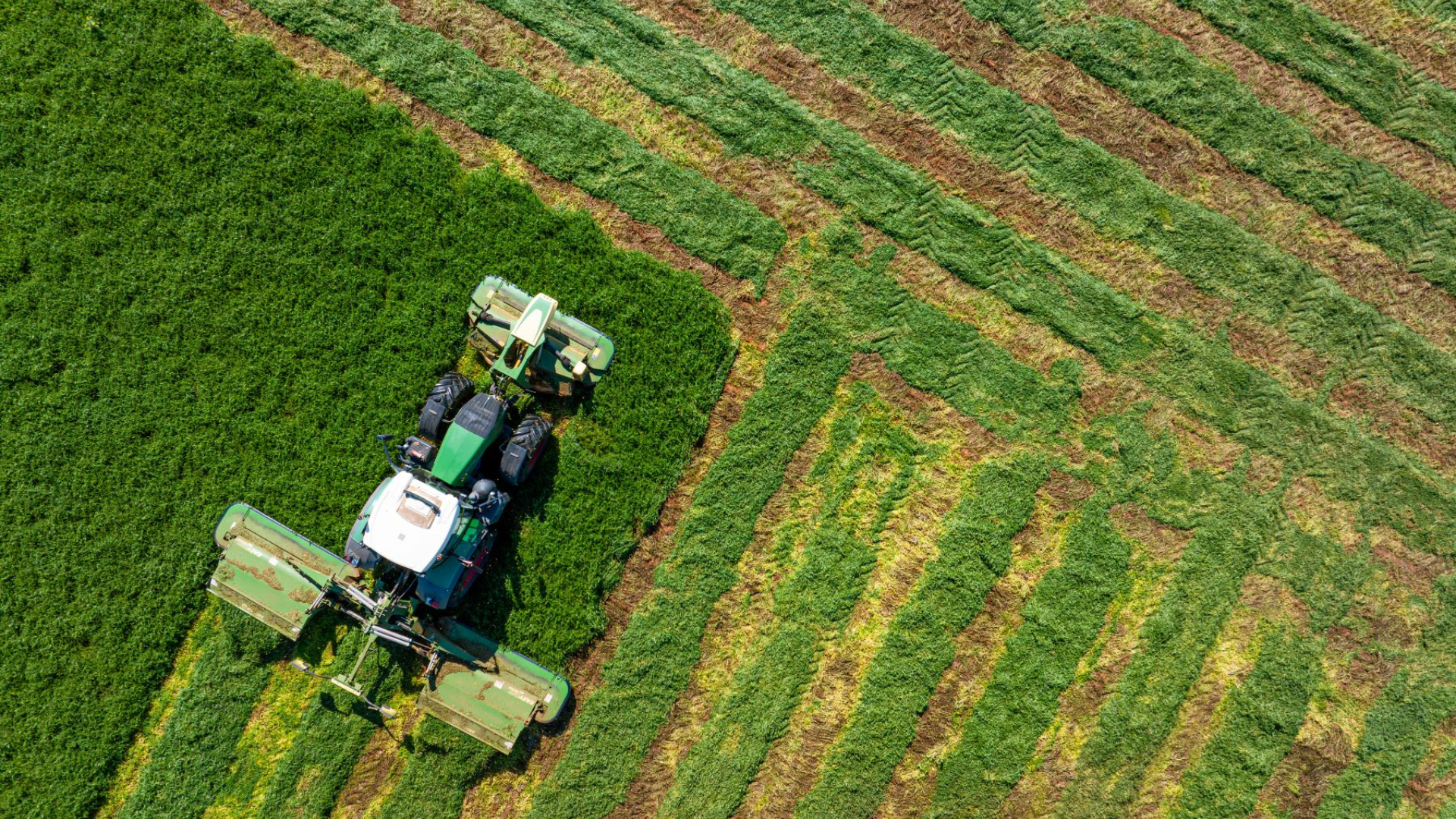 Weekly Machinery Market Report