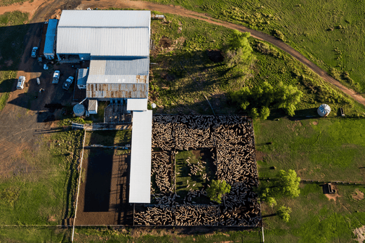 Lamb and mutton supply to tighten but can prices rise?