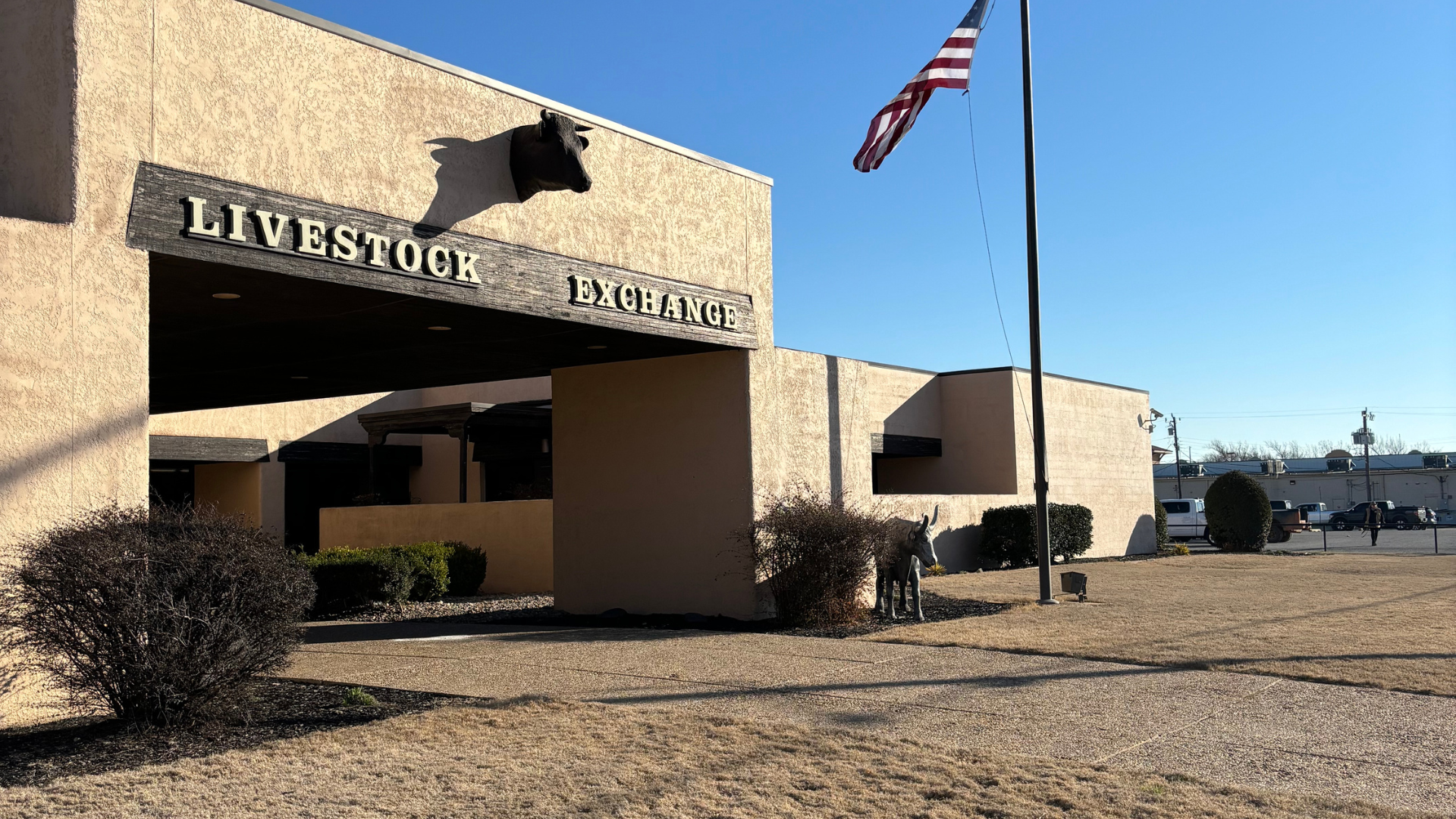 US cattle market musings right from the source