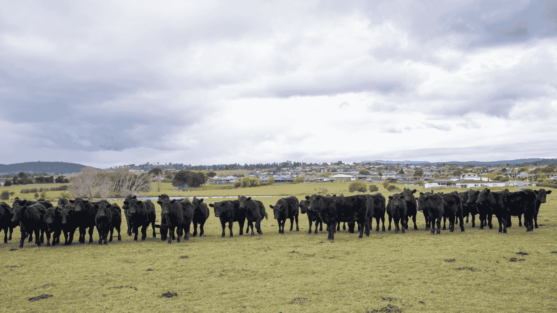 INDICATORS: EYCI lifts 18c this week