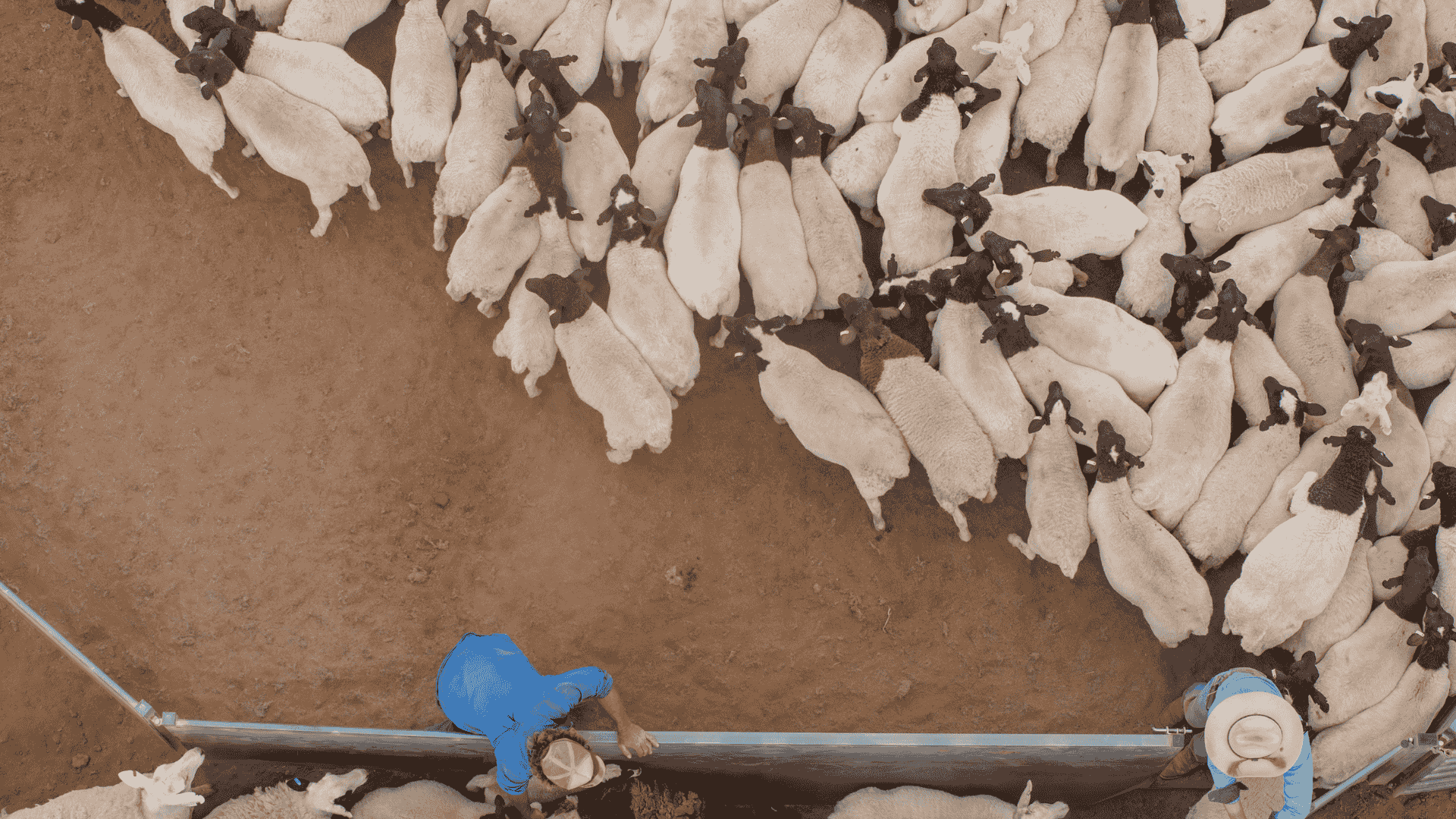 Short weeks don’t stop market surge