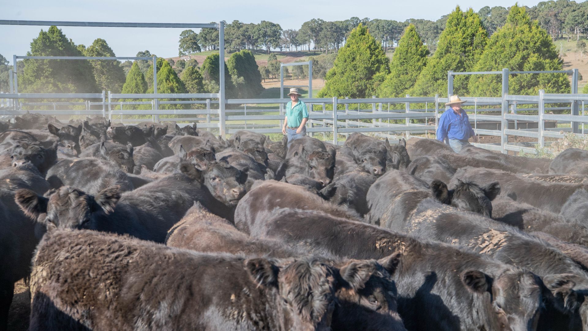 Local supply issues causing a spread