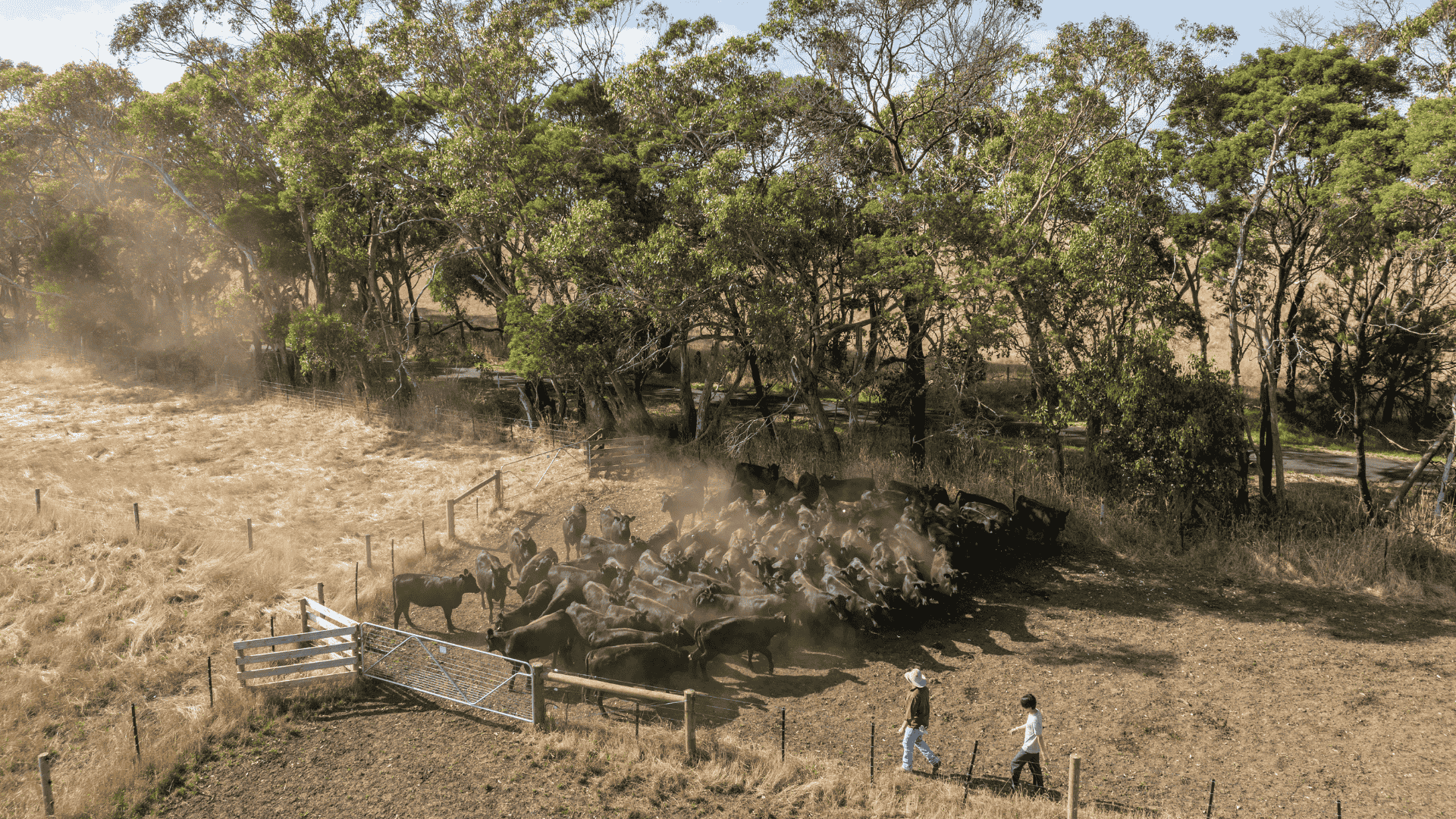 Australia and EU on the brink of a free trade deal