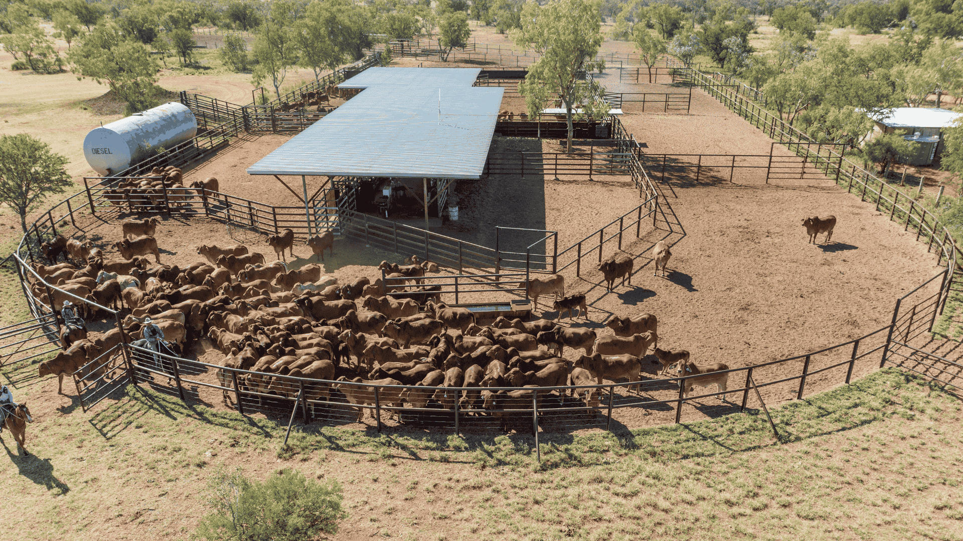 INDICATORS: 2025 a year of recovery and records