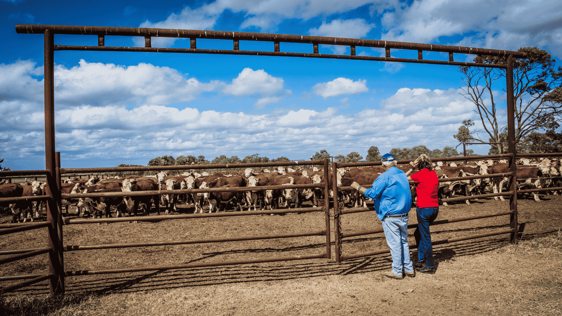 Top 10 red meat trends for 2025