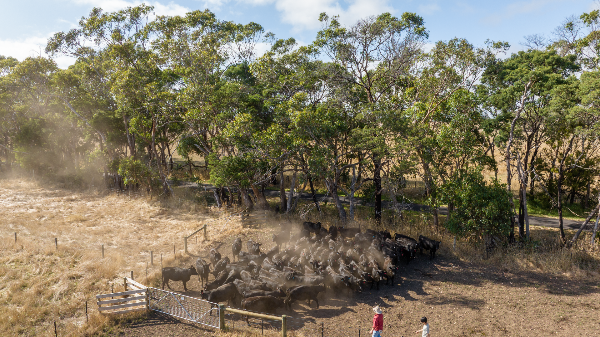 Frosts intensify and spring heat looms as El Nino signals build