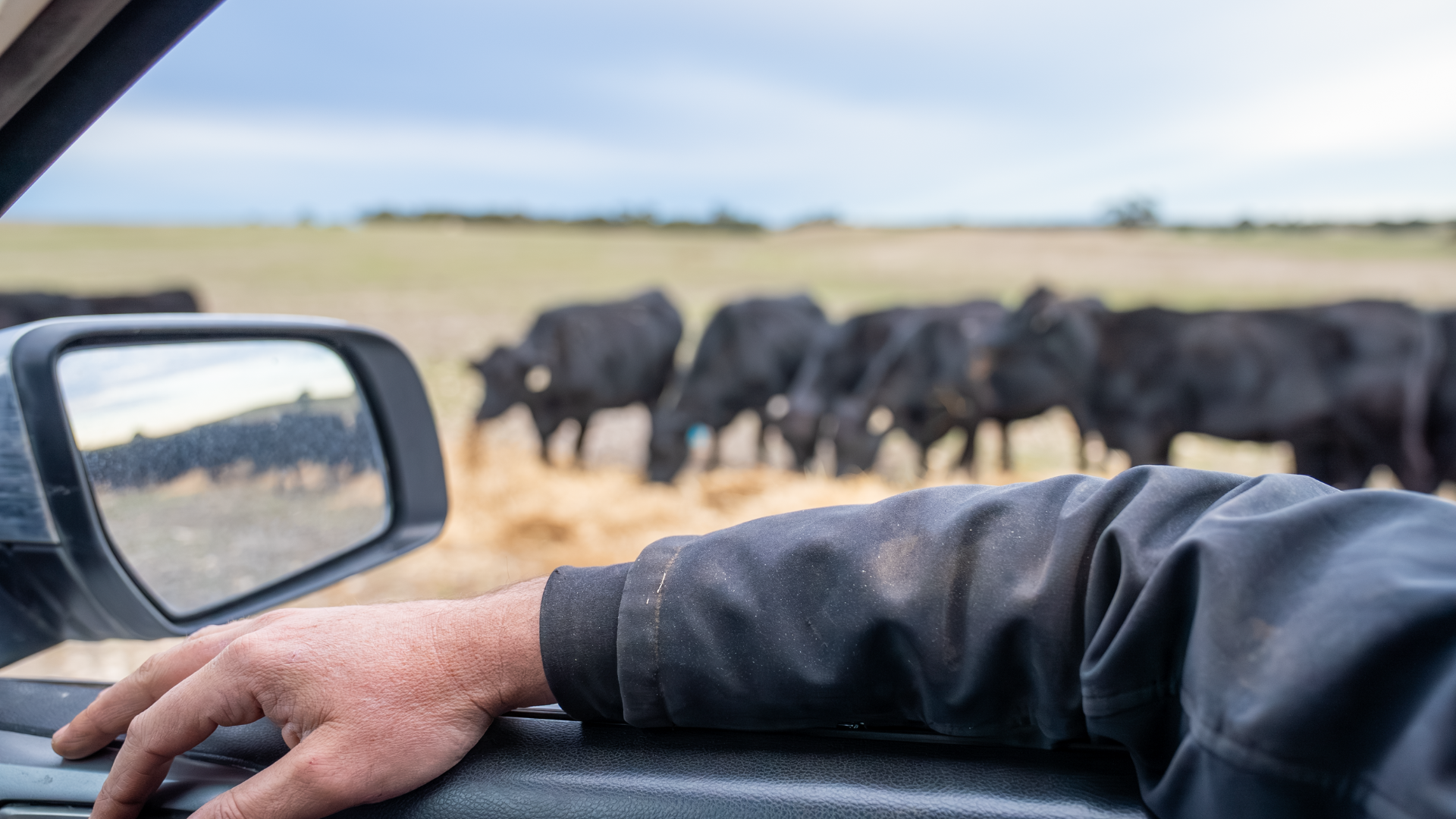 From the CEO's desk: Reflecting on a year that connected agriculture in new ways