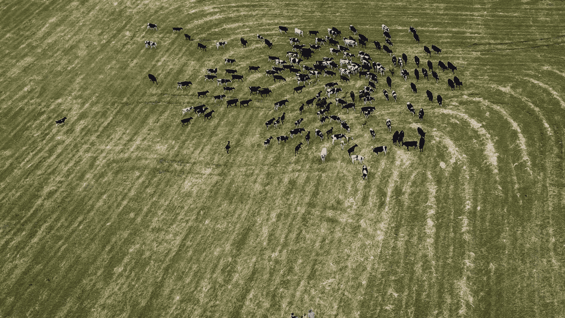 Chinese deadline pushes exports higher as EU FTA disappoints