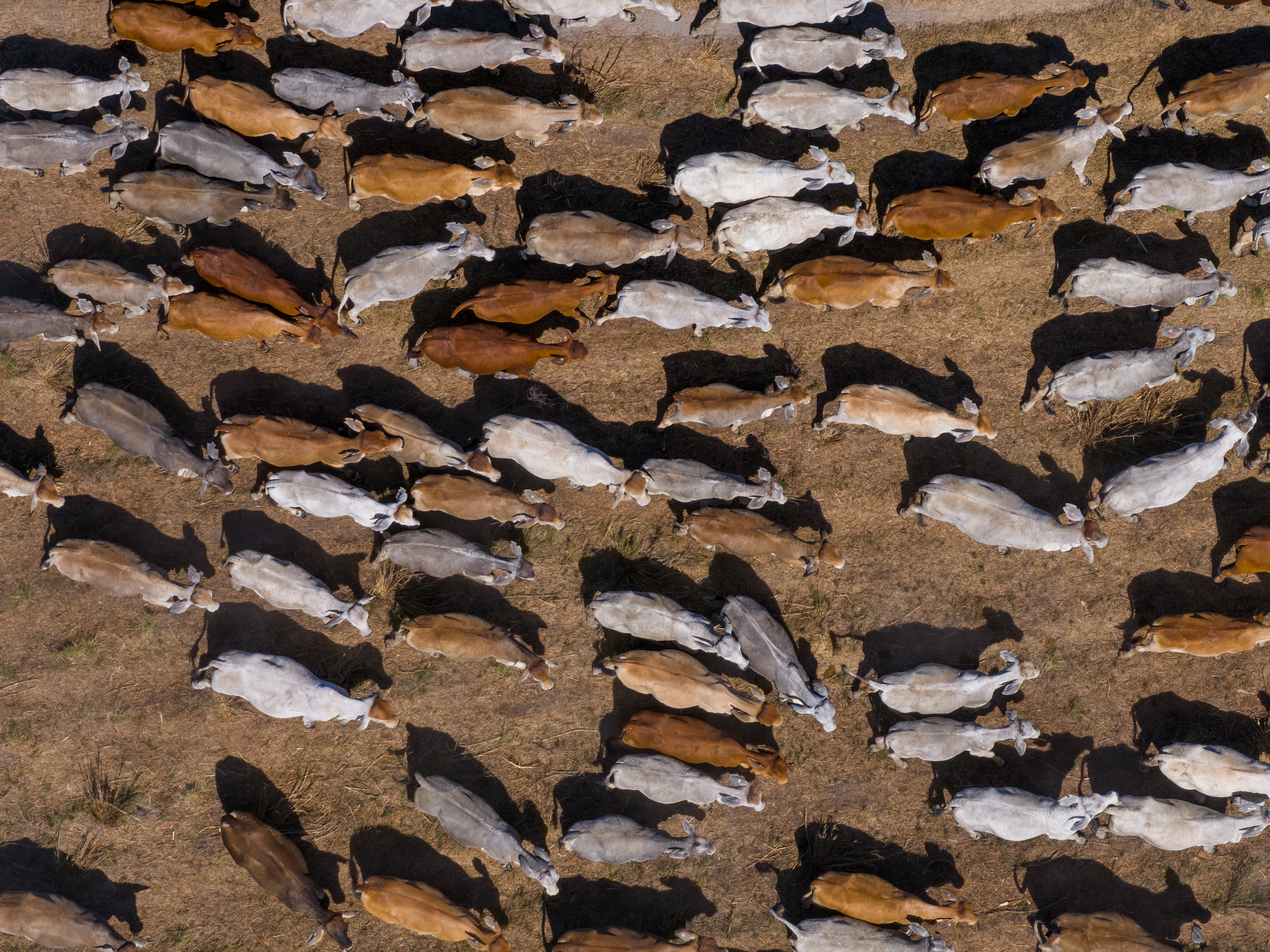 INDICATORS: EYCI continues upward trajectory