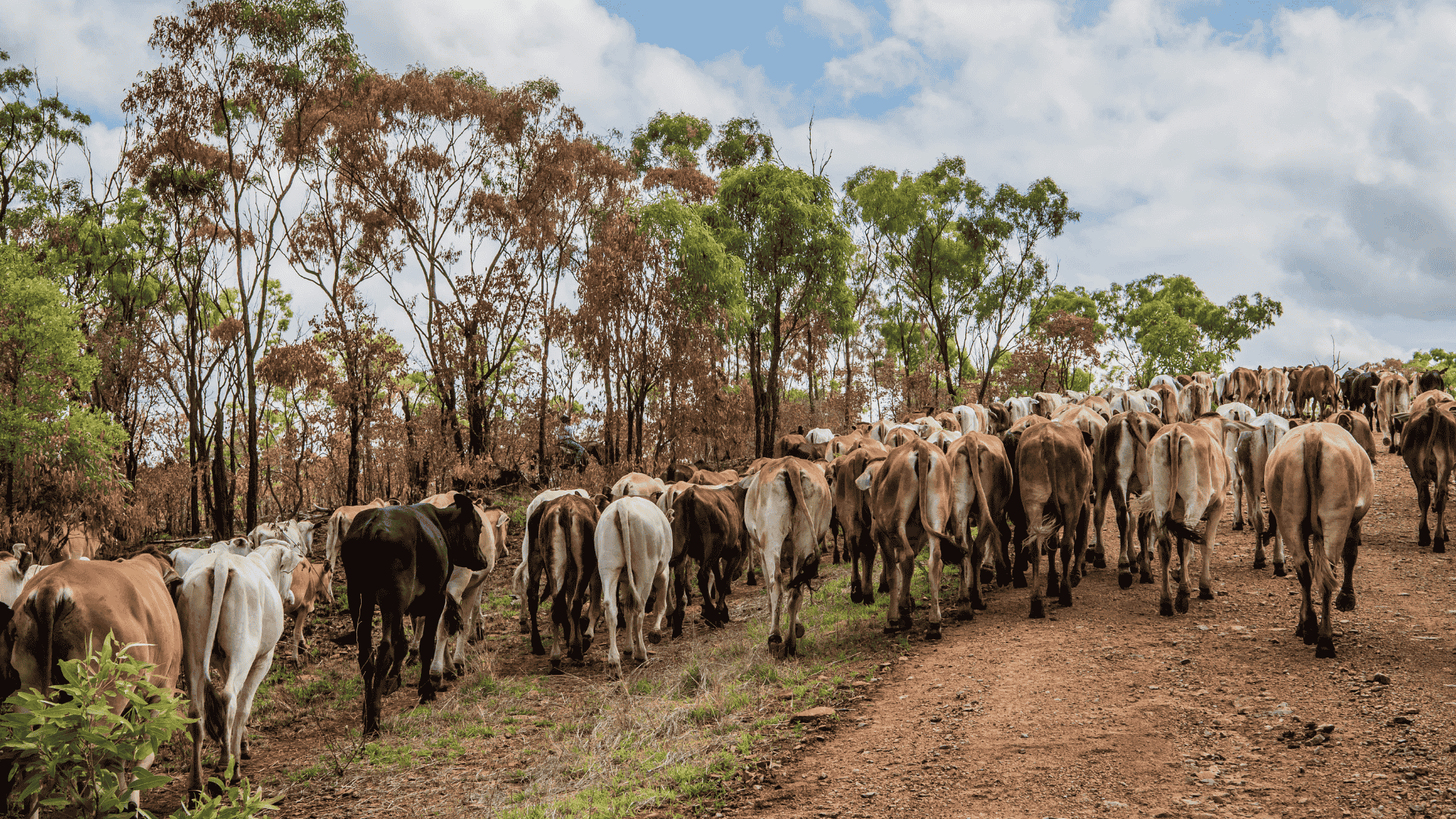 Autumn sell off not a thing of the past