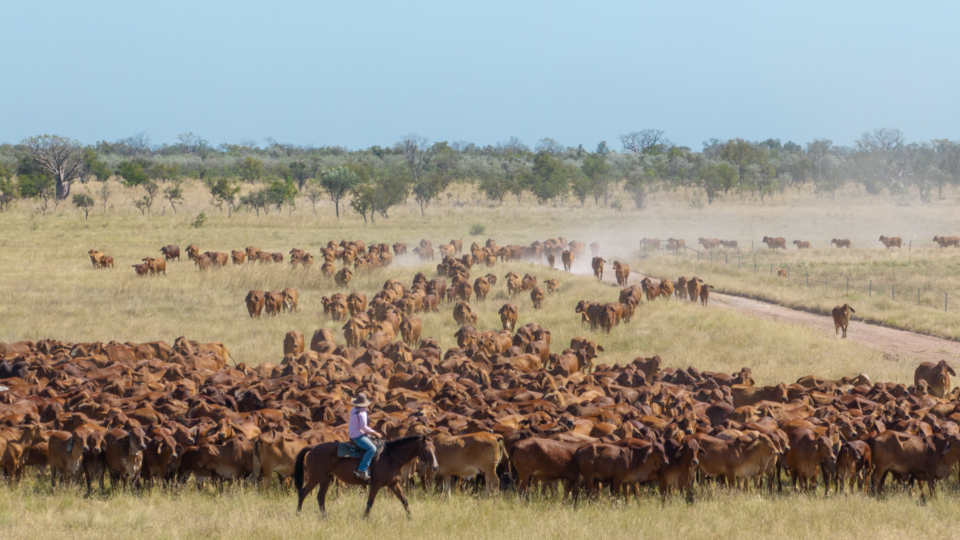 What impact will increased input costs have on Australian cattle farms?