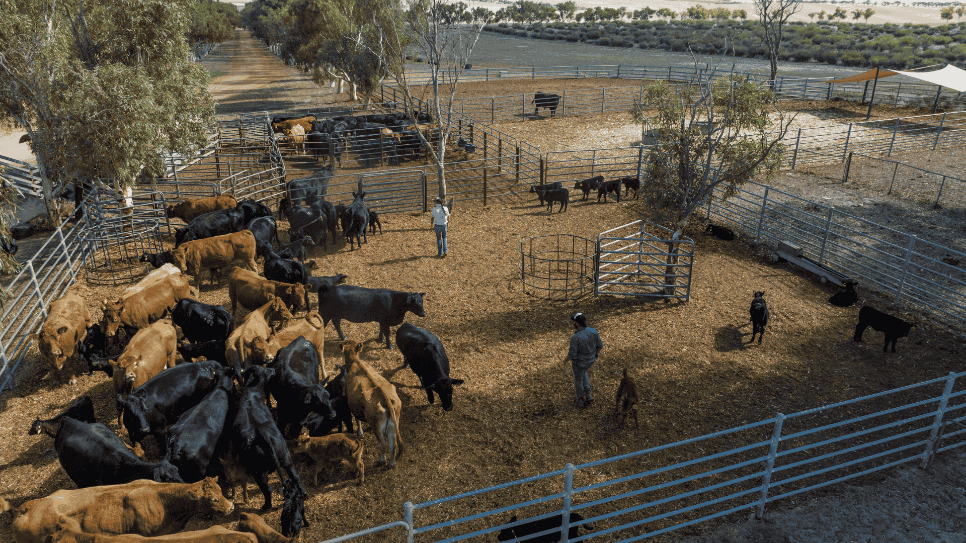 Agriculture hits $100b, but what goes up must come down