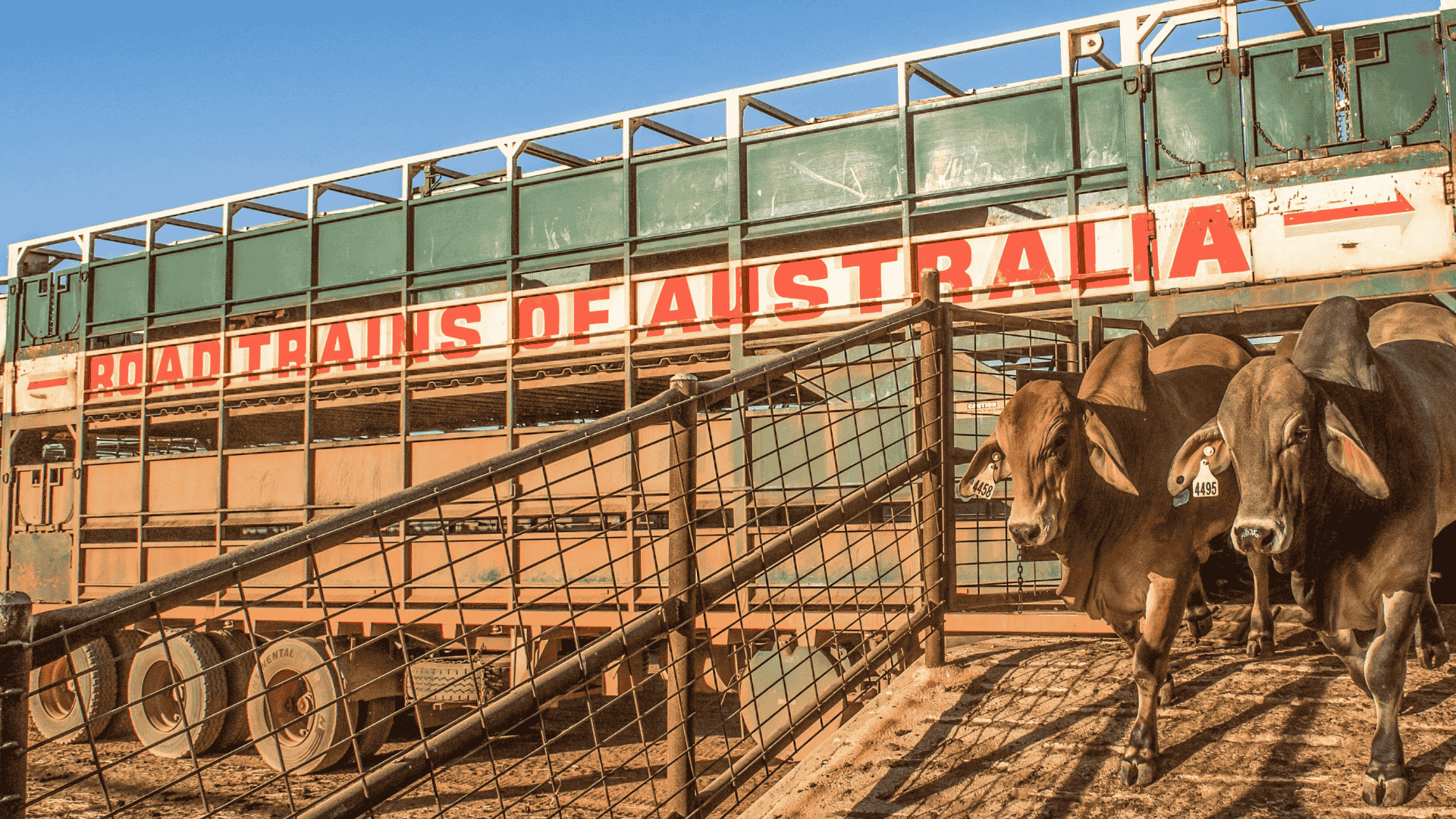 Red meat supply cycle is starting to shift