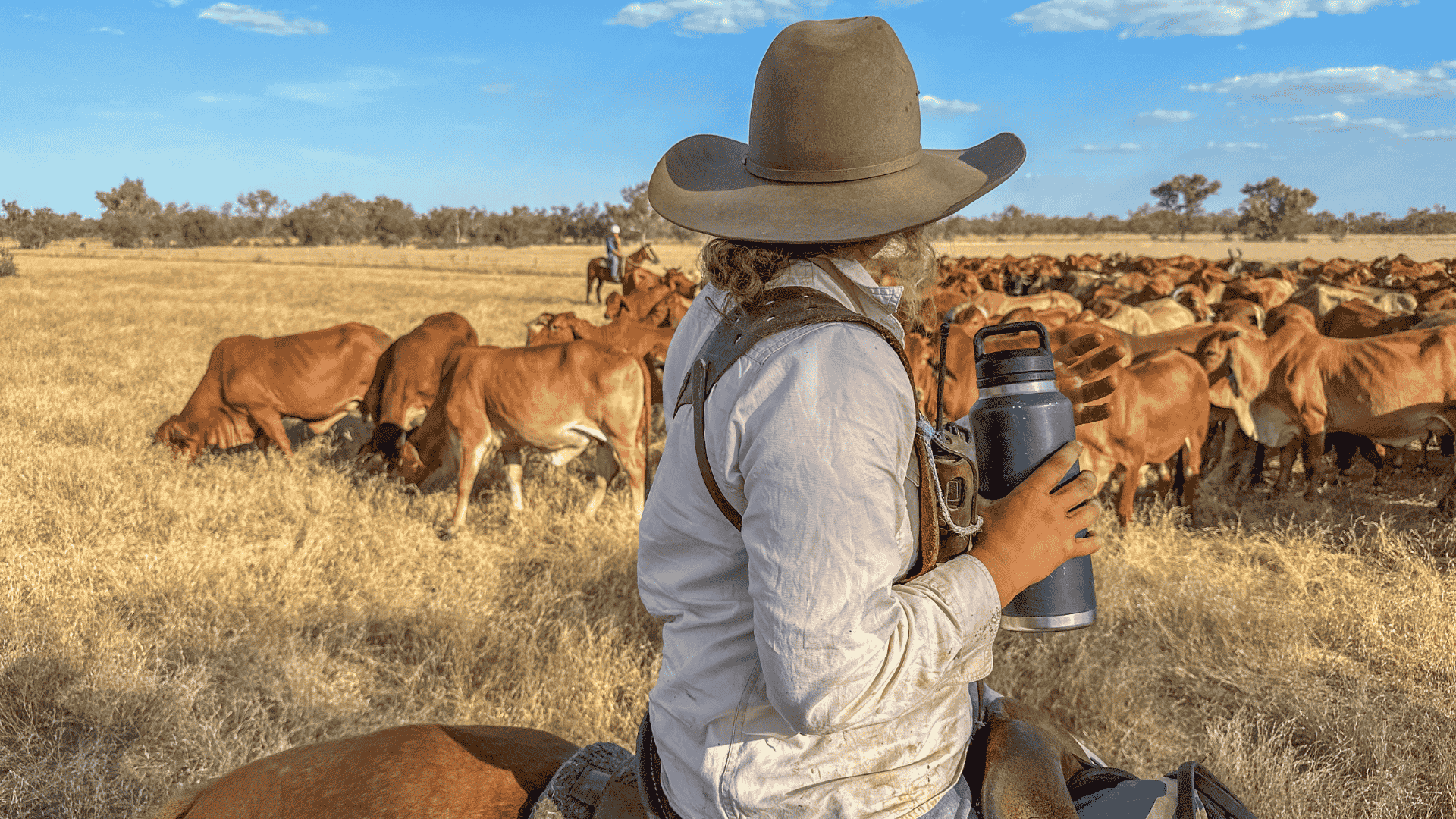 Higher rates, higher costs: rural agents flag confidence risks ahead