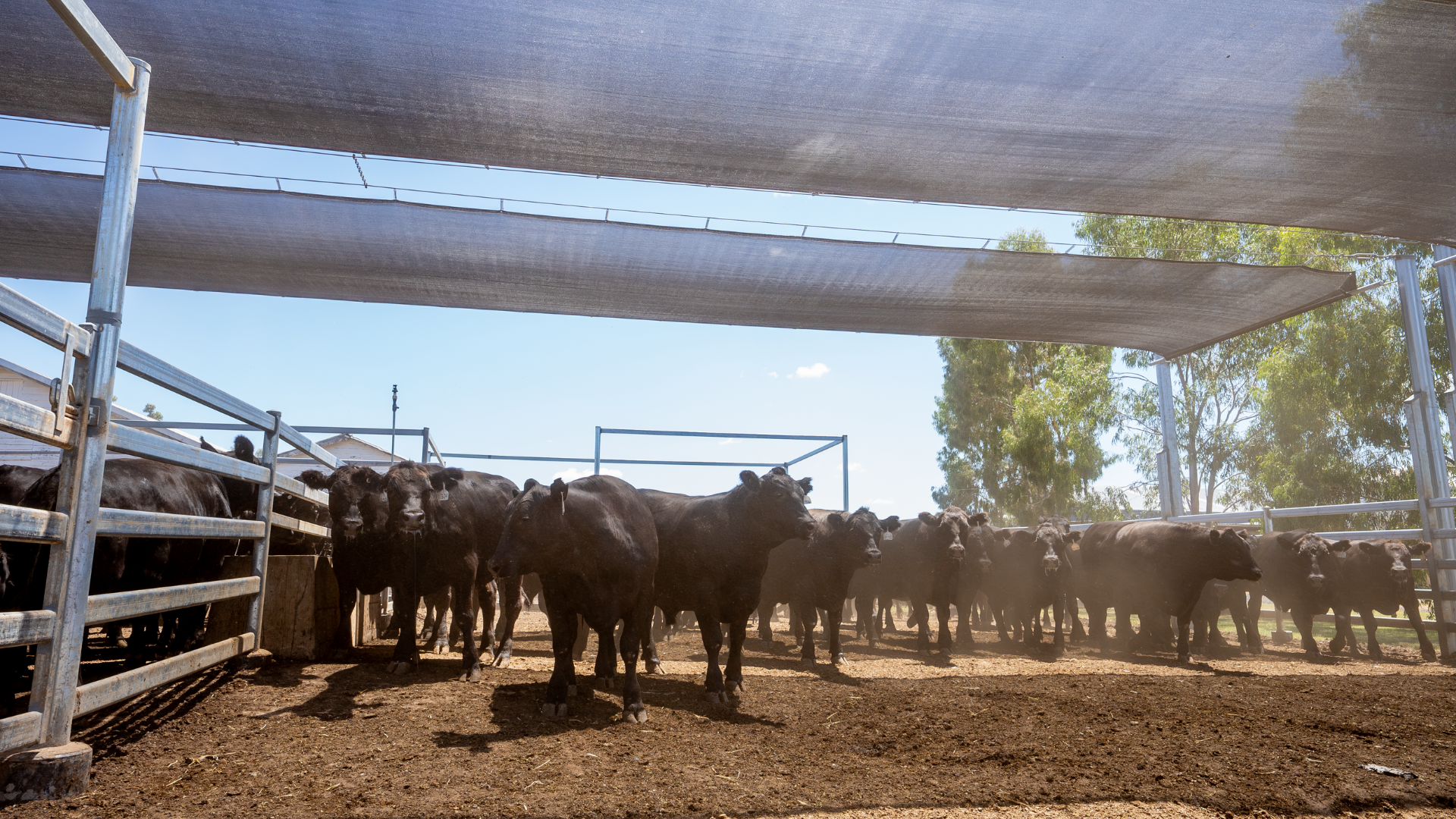 The right time and place – which producers are capitalising on market opportunities?