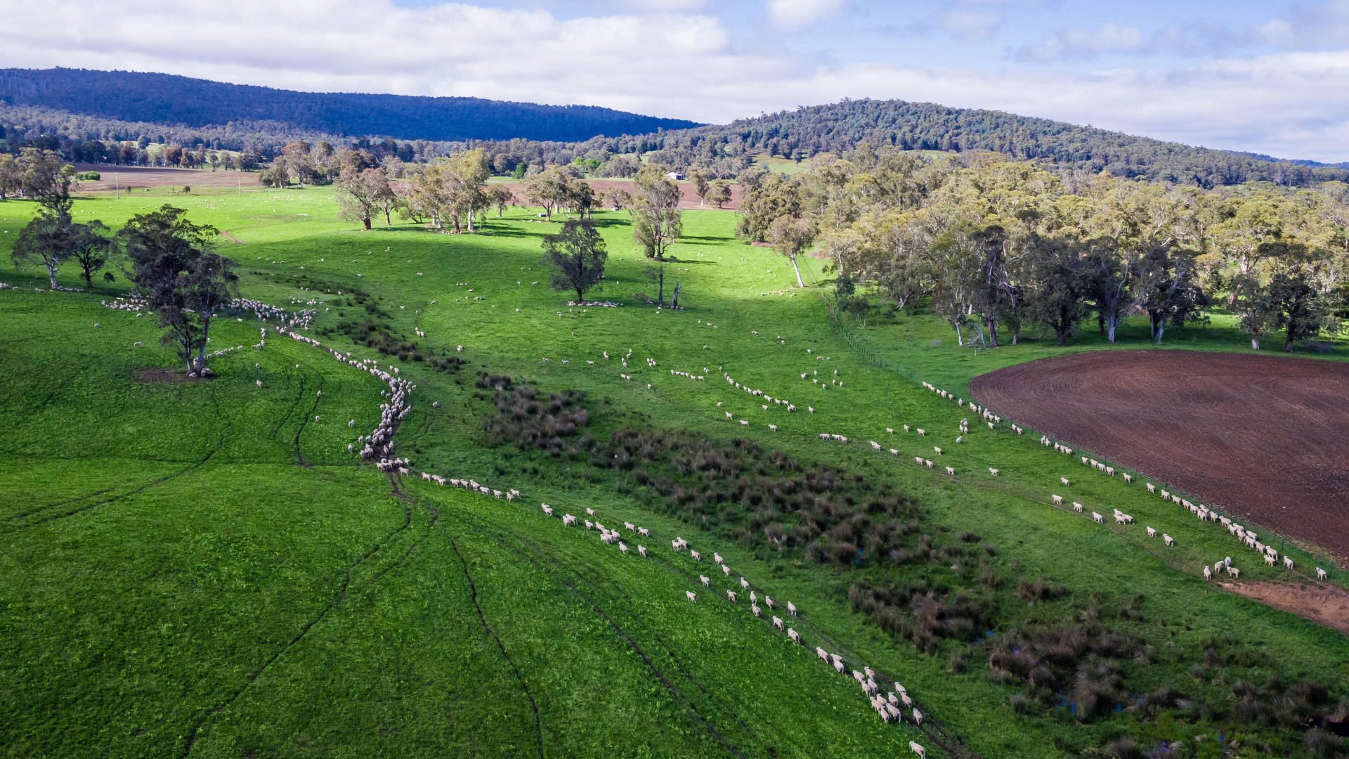 Premium farms pull ahead as buyers become more selective
