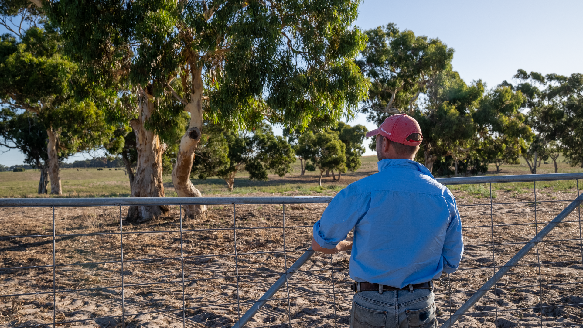 Southern states in for a big week as the year's strongest front pushes east