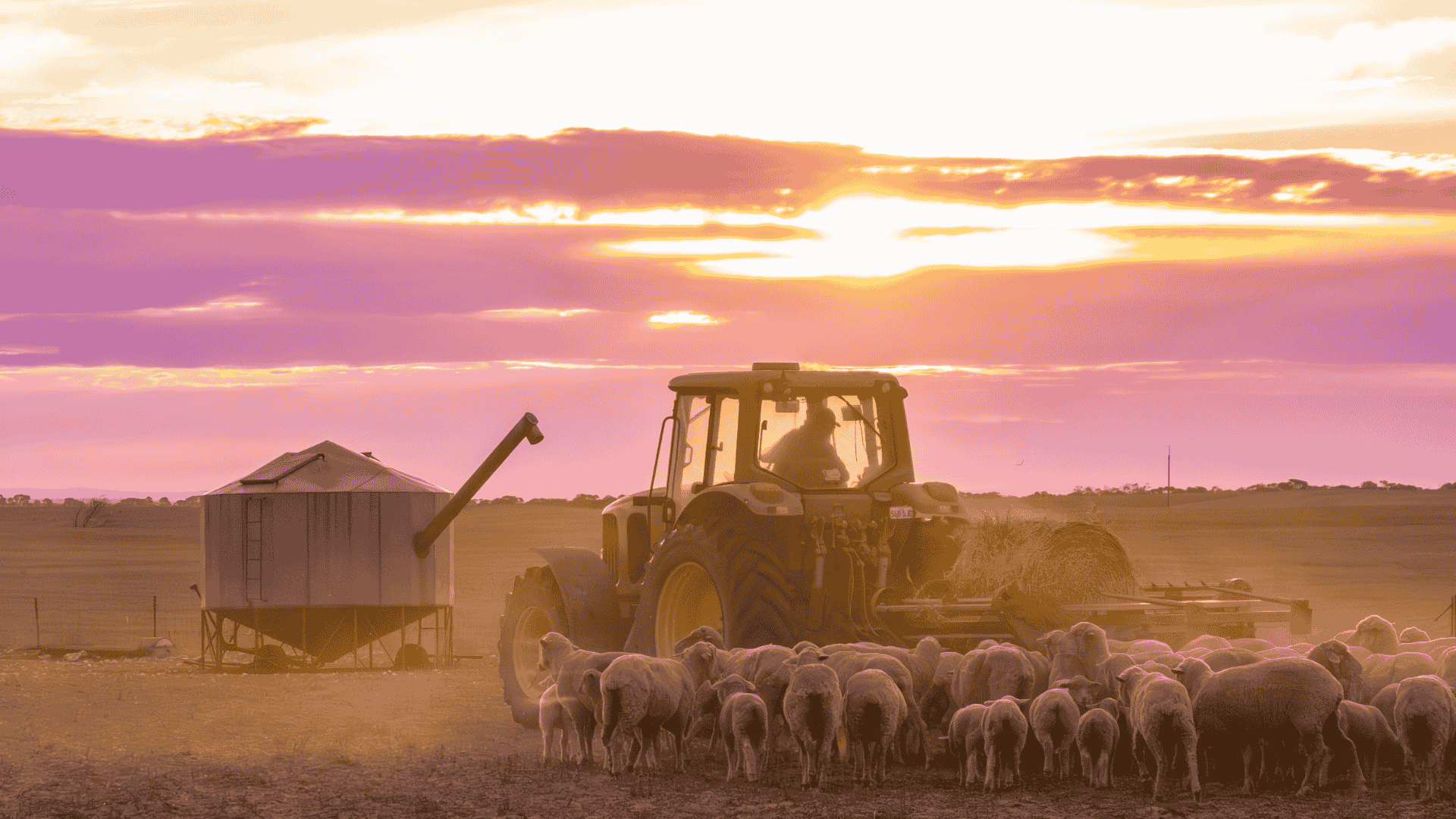 Weekly Machinery Market Report