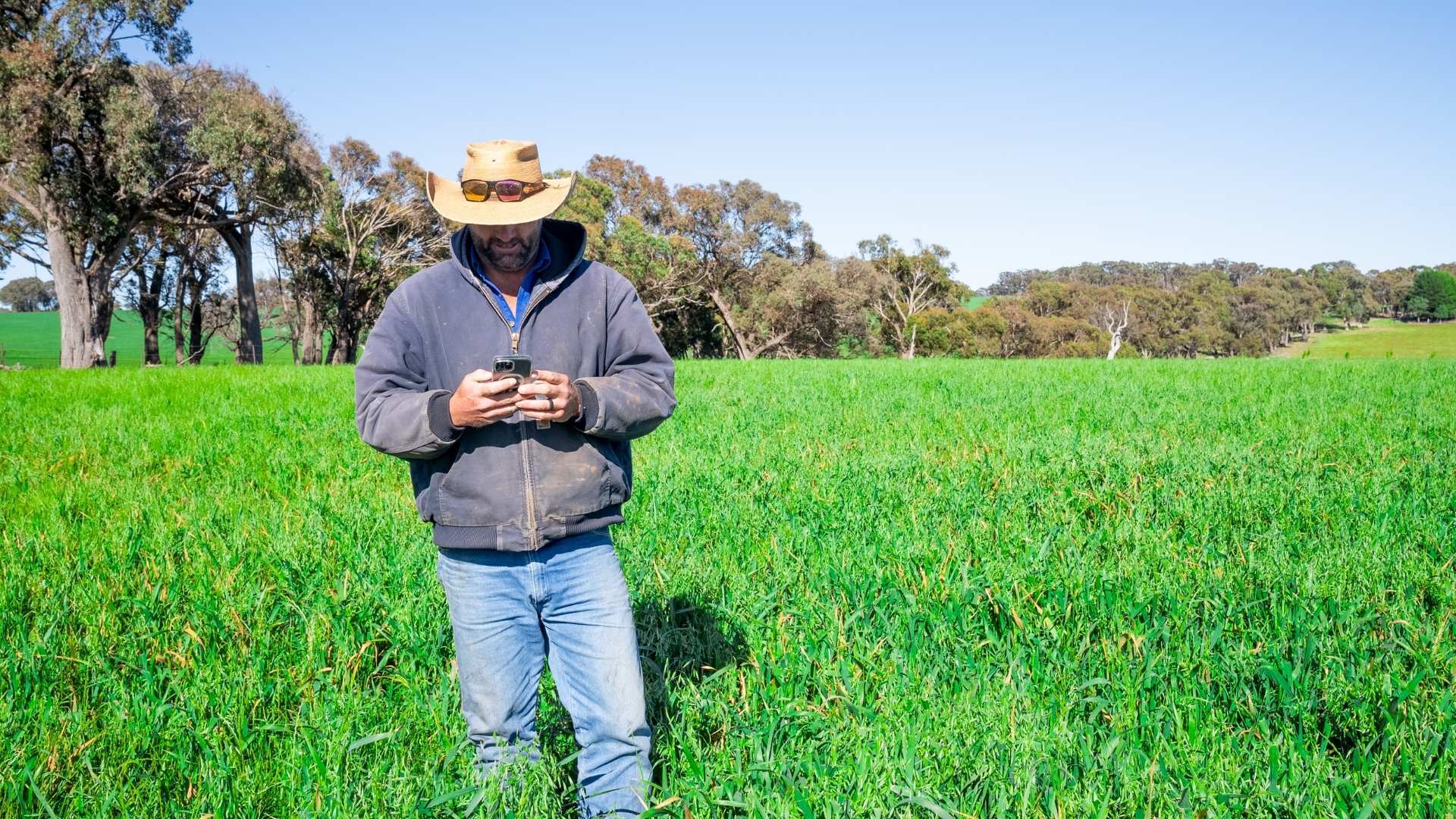 Australians reported $2.18 billion in scam losses last year and farmers are in the firing line