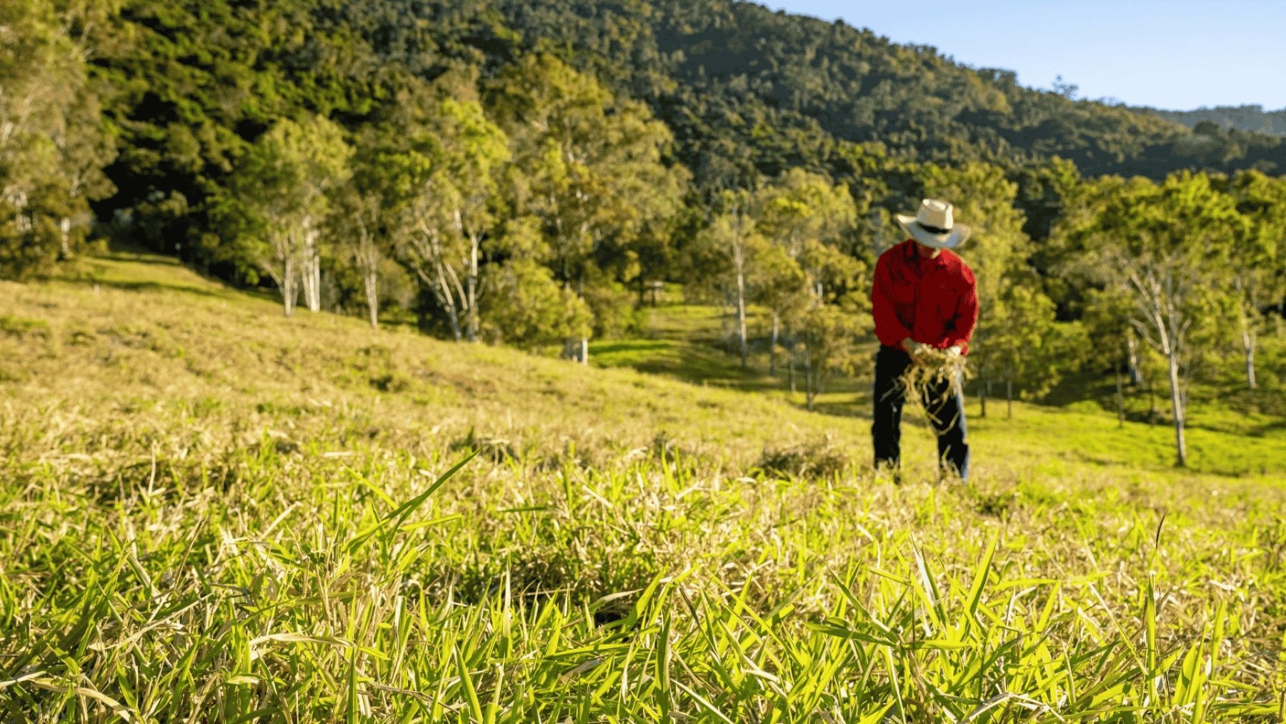 Methane-busting pastures in focus at conference