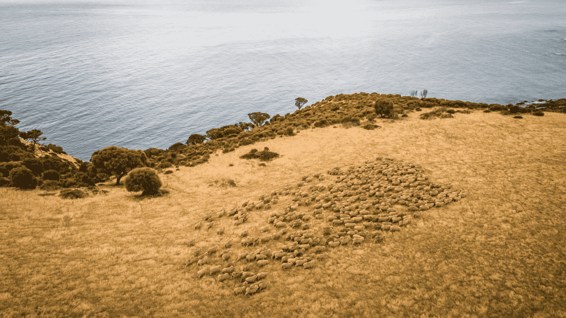 Climate impacts on producer decisions and market outcomes