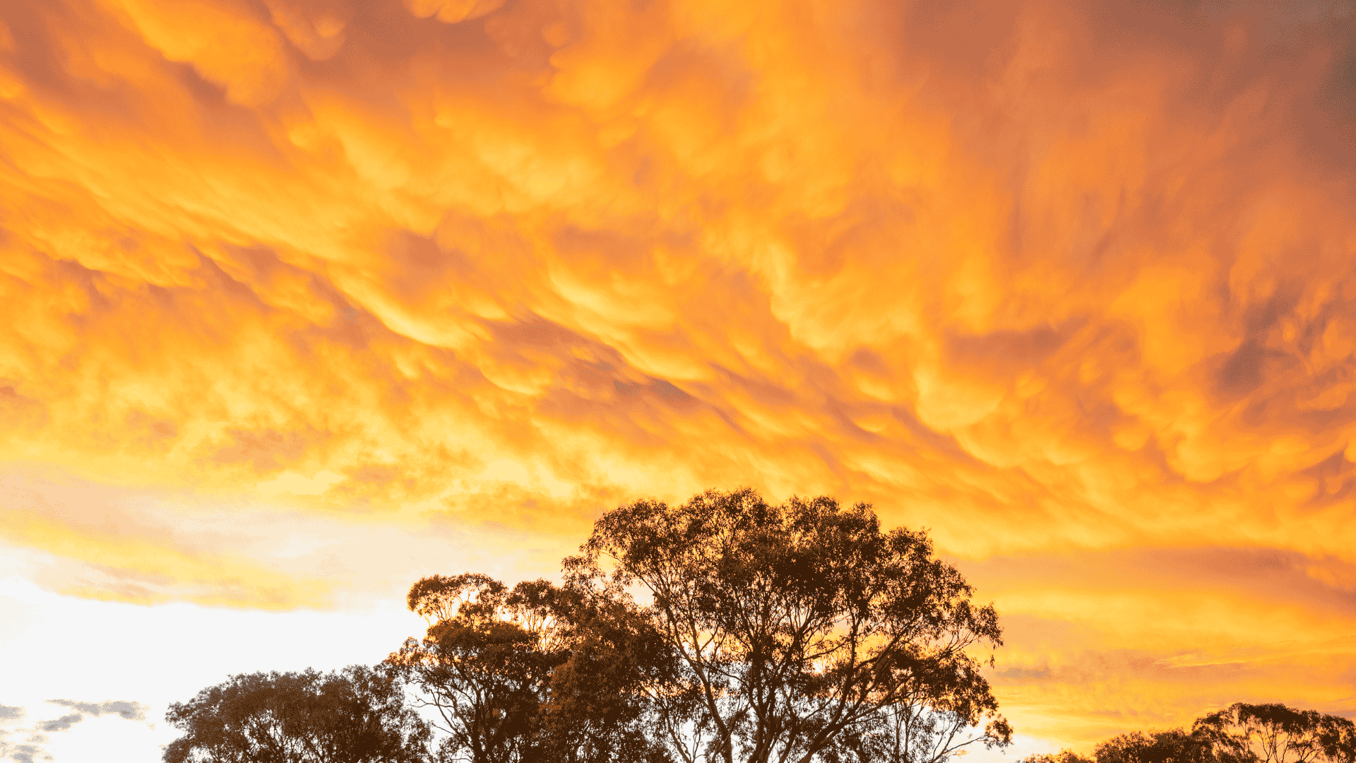 Timing is everything as ag regions watch for rain