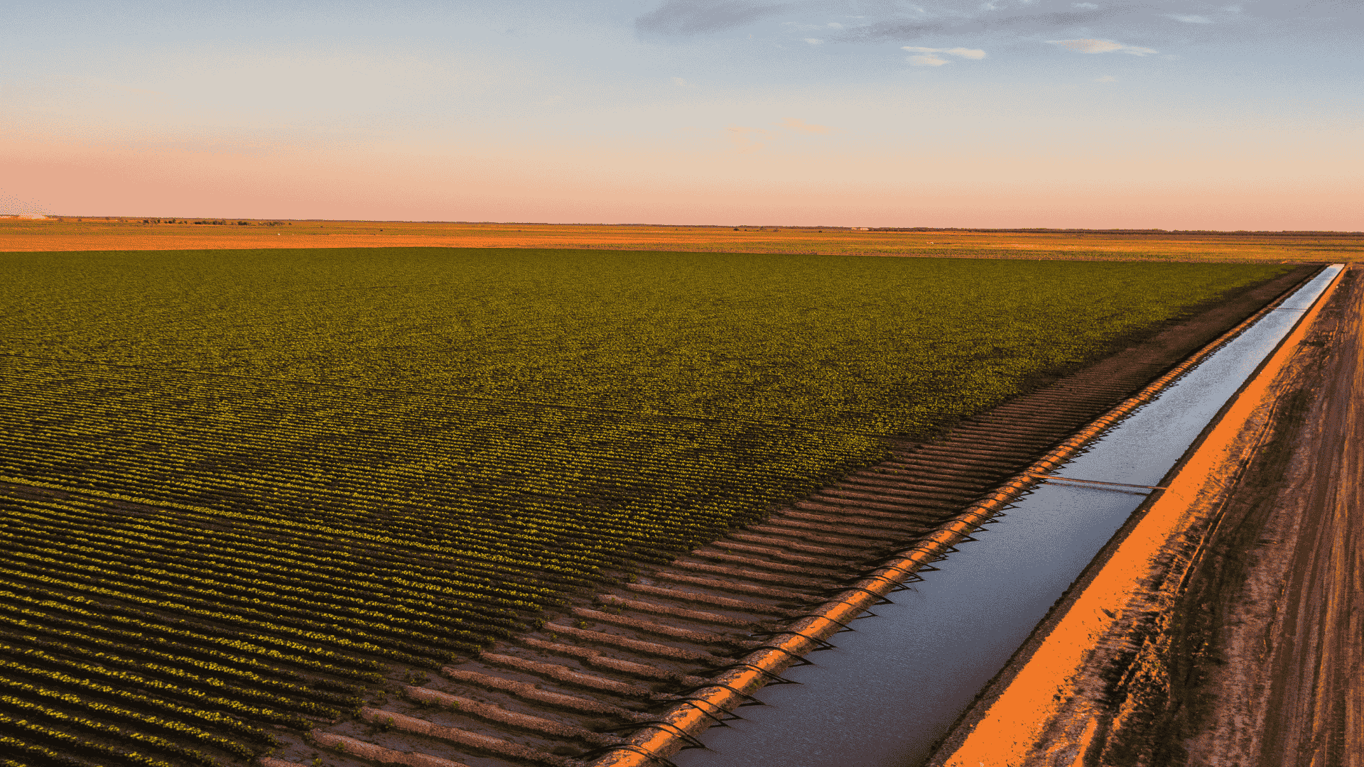 War in Iran hits rural property market confidence