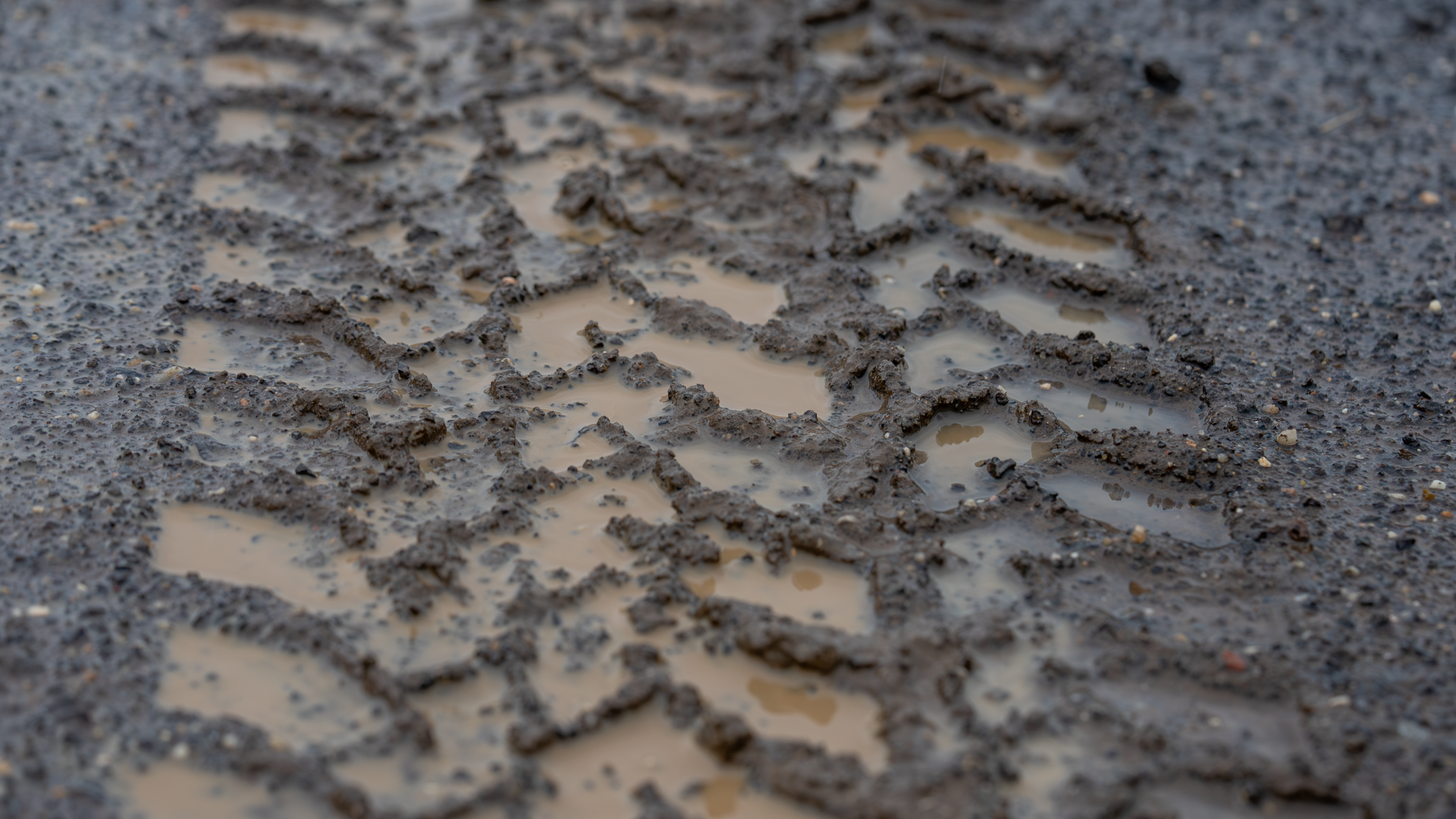 A month's worth of rain tipped for some regions
