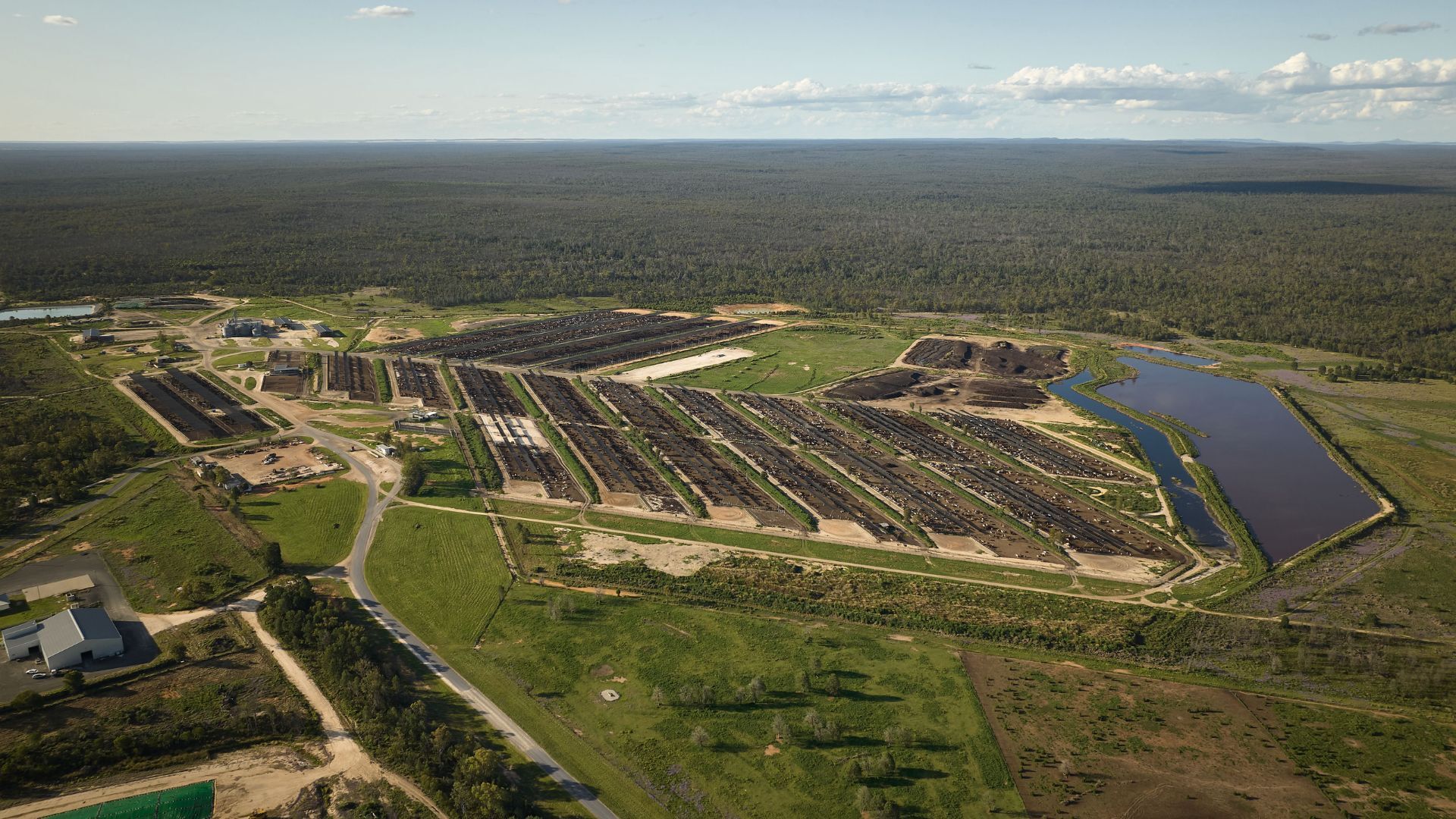 Mort & Co lists Queensland feedlot assets as part of revised capital strategy