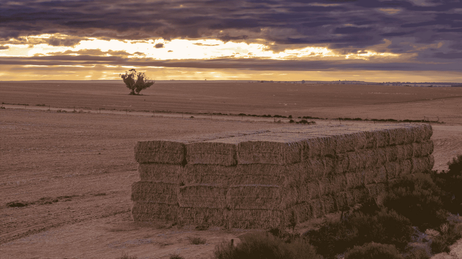 South may see rain relief next weekend as the stubborn dry pattern shows early signs of shifting