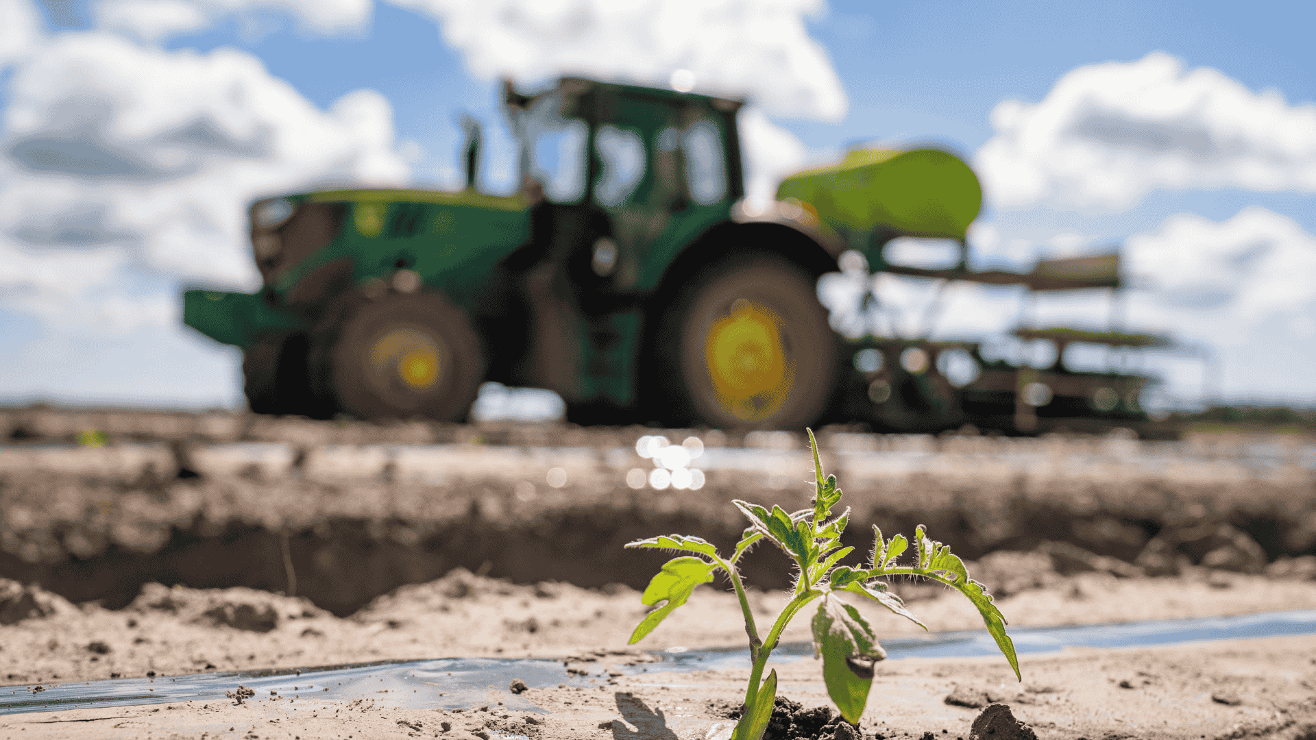 Foreign investors hold 50 million hectares of Australian farmland