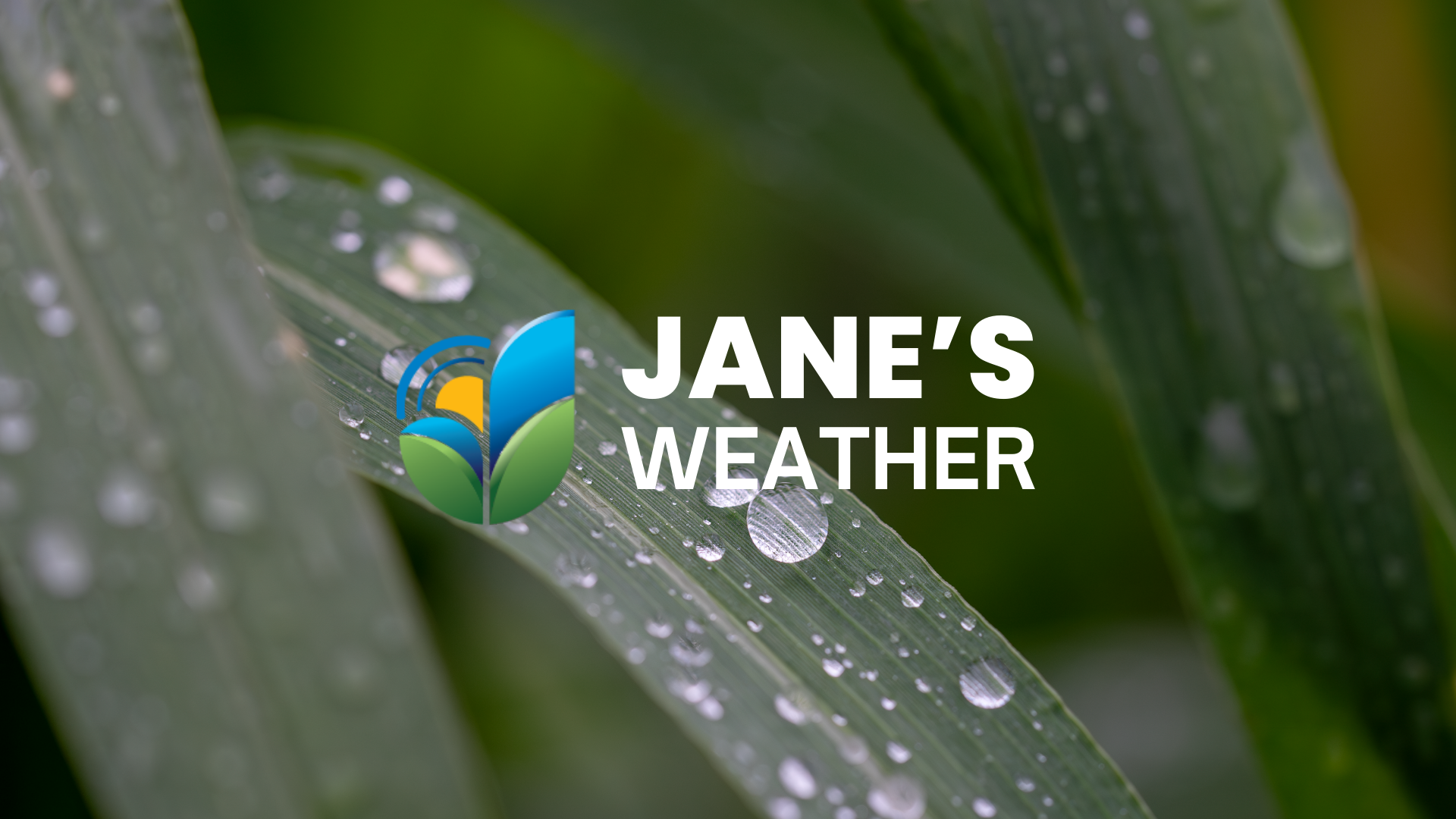 Widespread rain system kicking off in the west and heading to the east