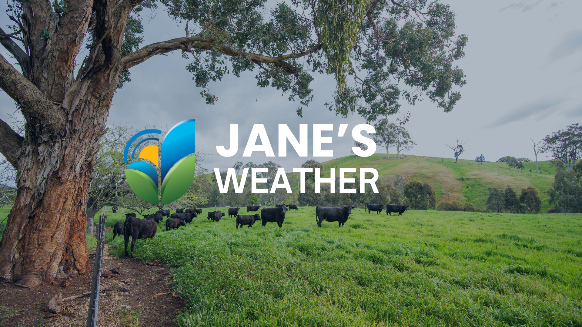 Rain, storms and a cold outbreak heading for the east