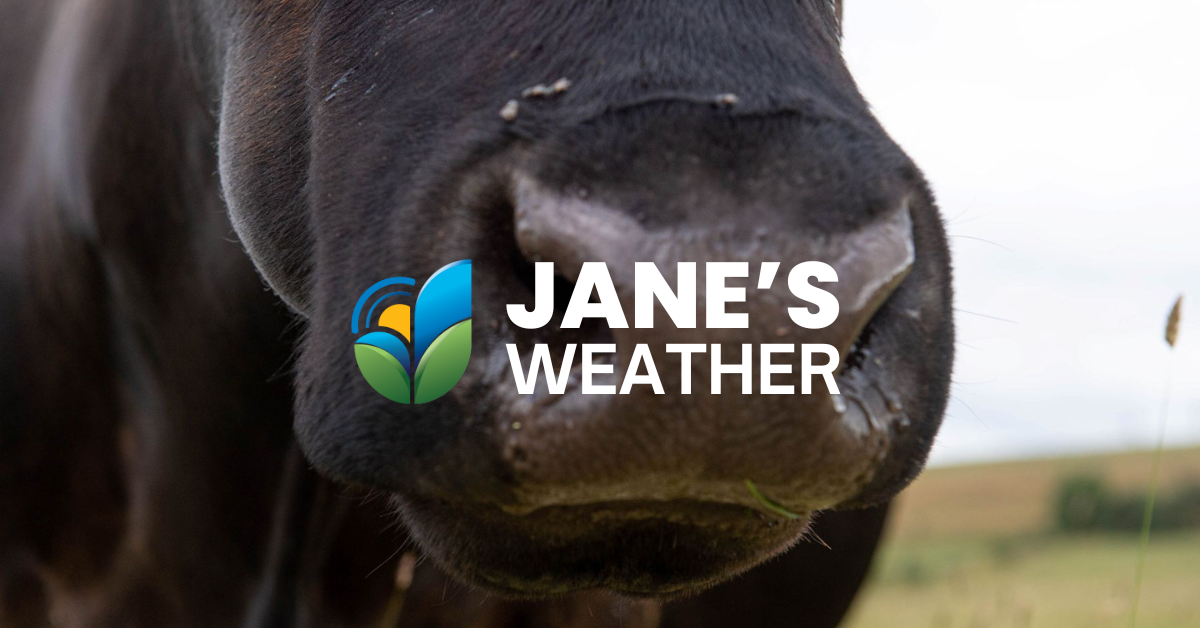 Is that widespread rain on the horizon?