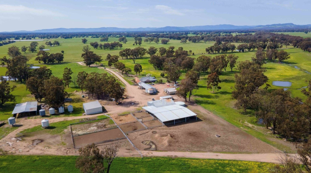 Prime lamb producer 'Balmullin' now has a $14 million price tag in North East Victoria