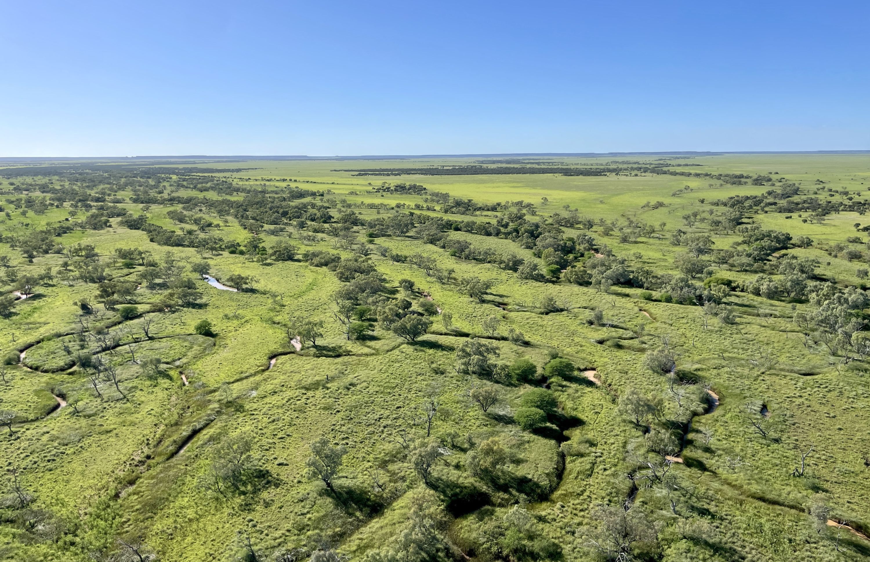 Major Queensland pastoral aggregation hits the market