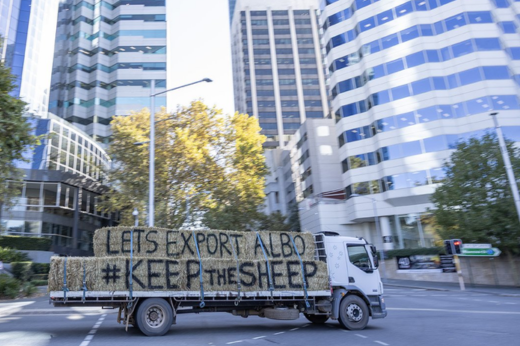 NEWS IN BRIEF: Election called, WA sheep industry shows strength with convoy and CA boss to visit US next week