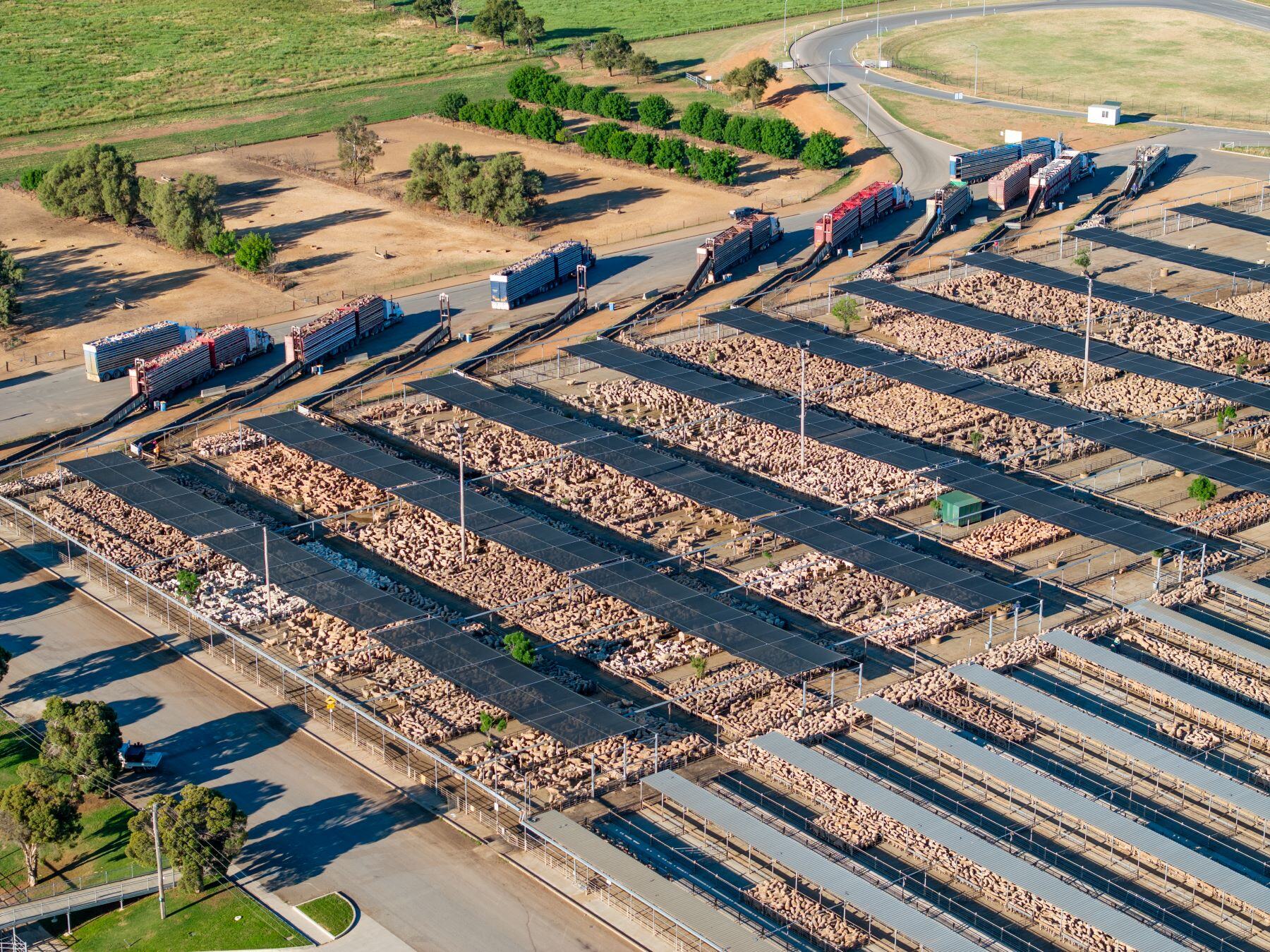 NEWS IN BRIEF: Livestock trailers vandalised, AWN announces new MD, and more
