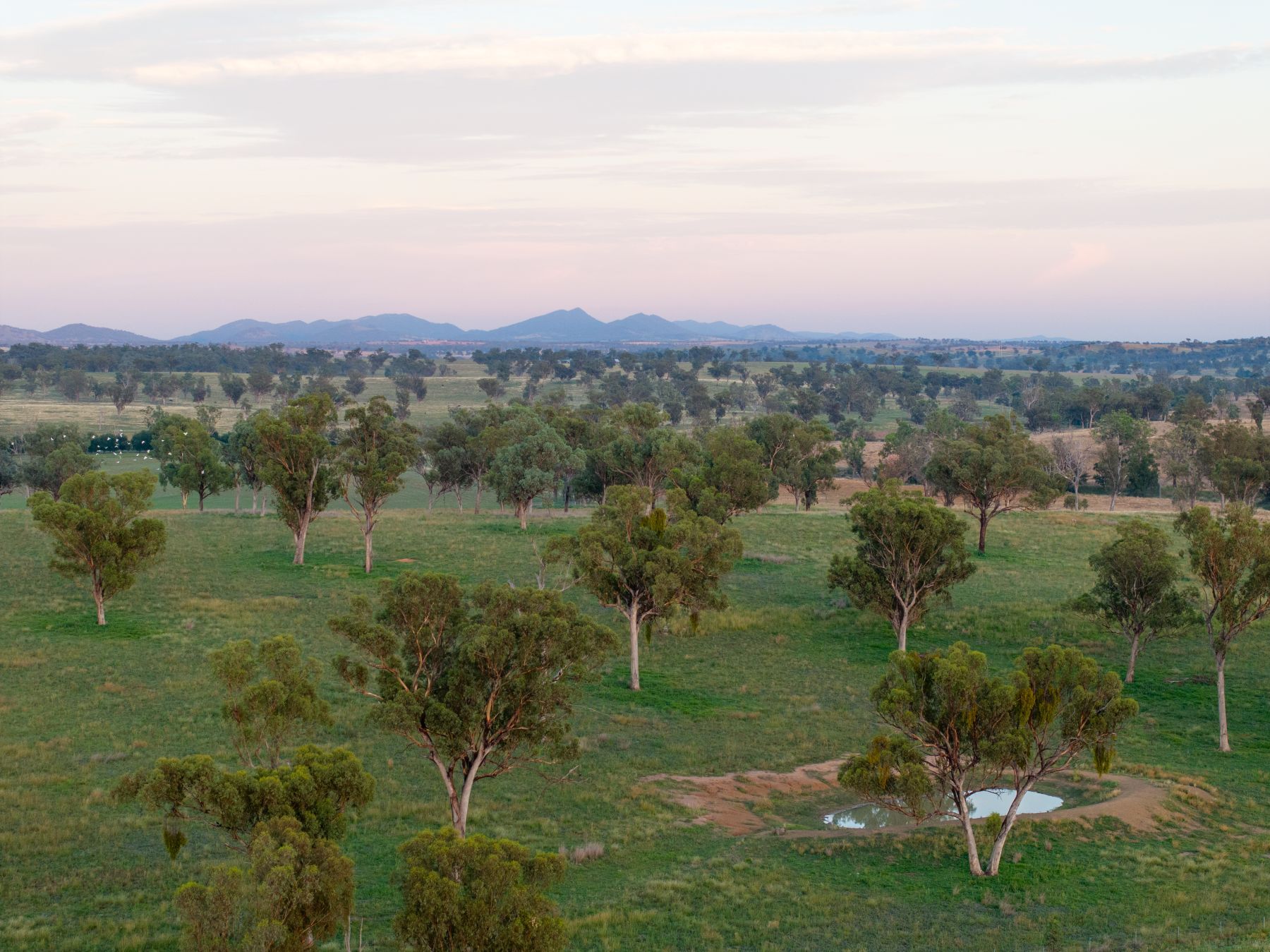 Australian farmland values hit record high, but the heat has come off the market