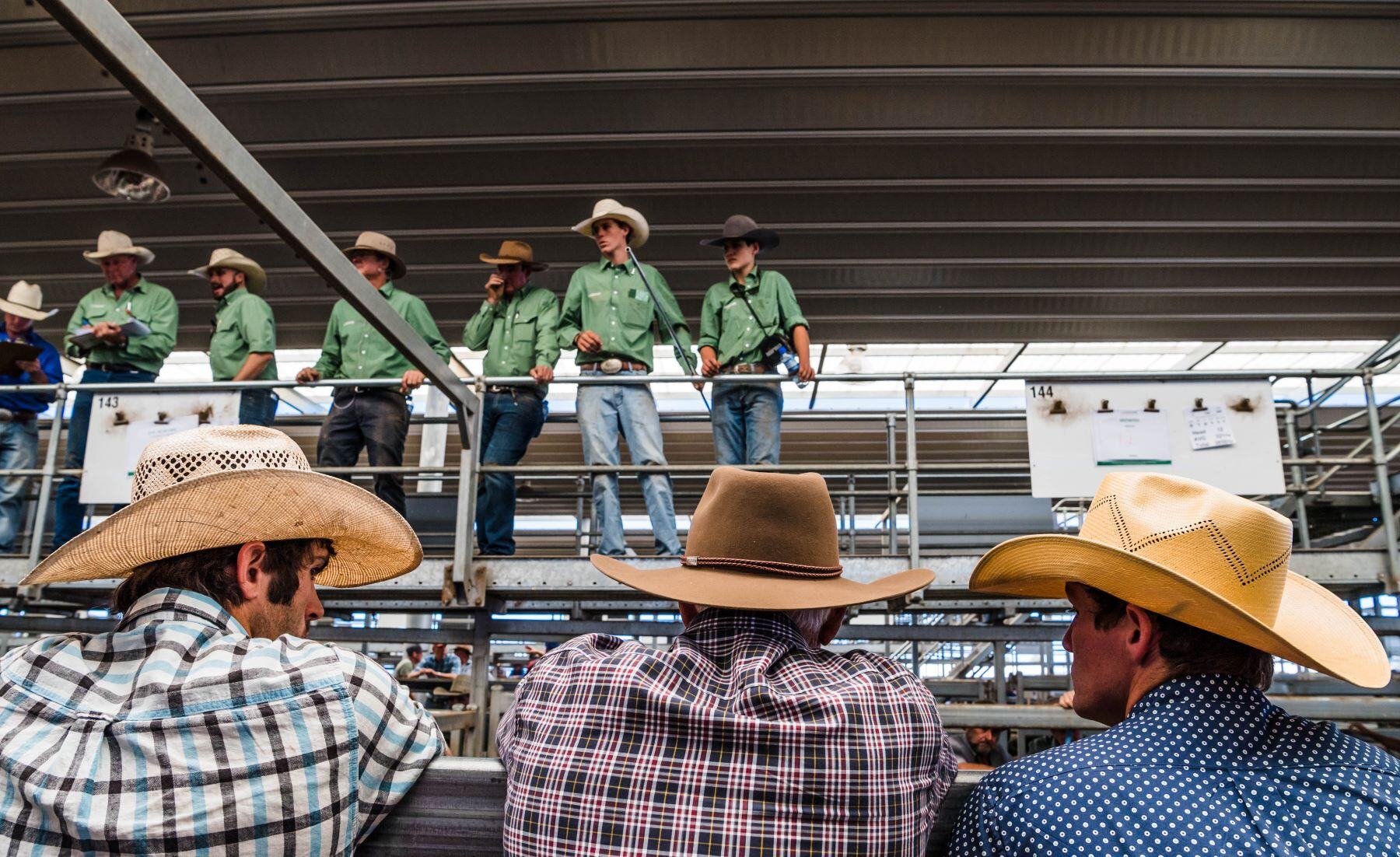 Who’s winning on weaners?