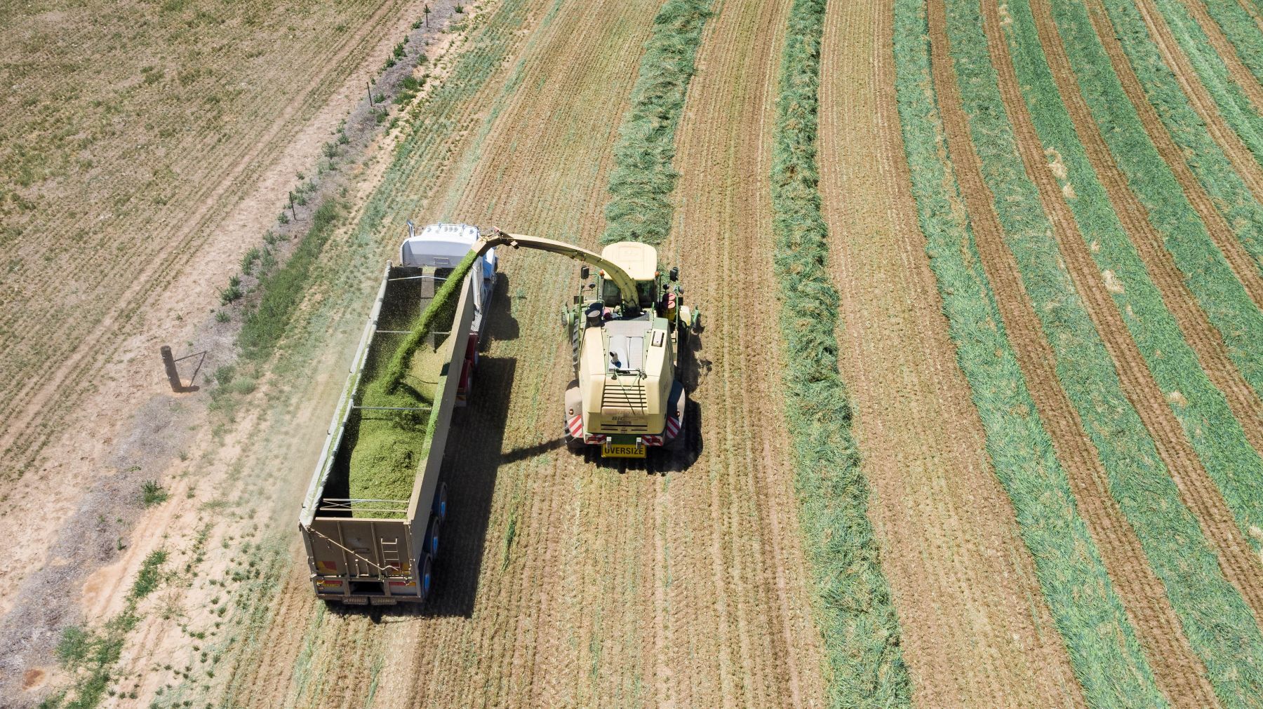Five key tips for silage this season