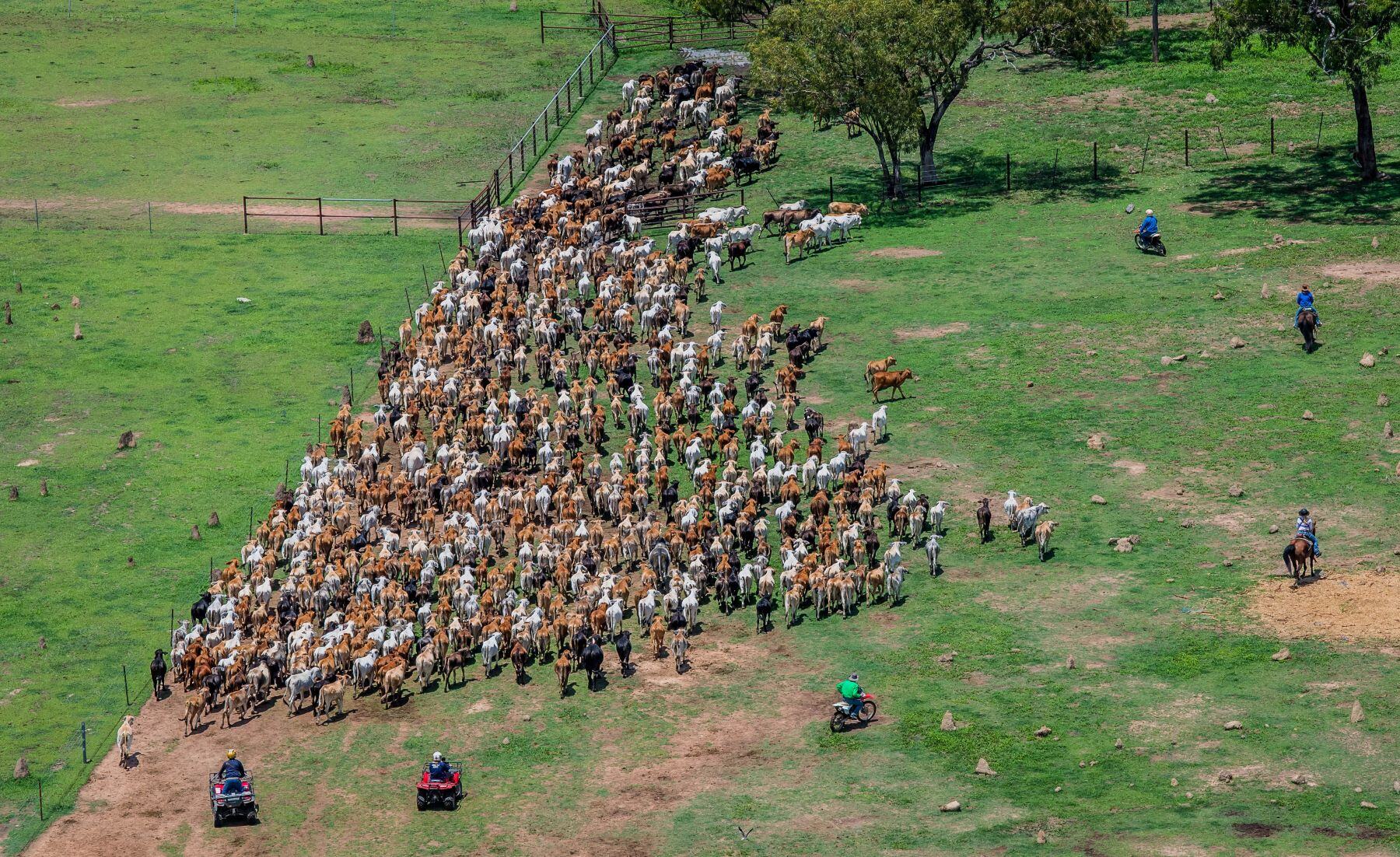 Technology making change amid quad bike crash spike