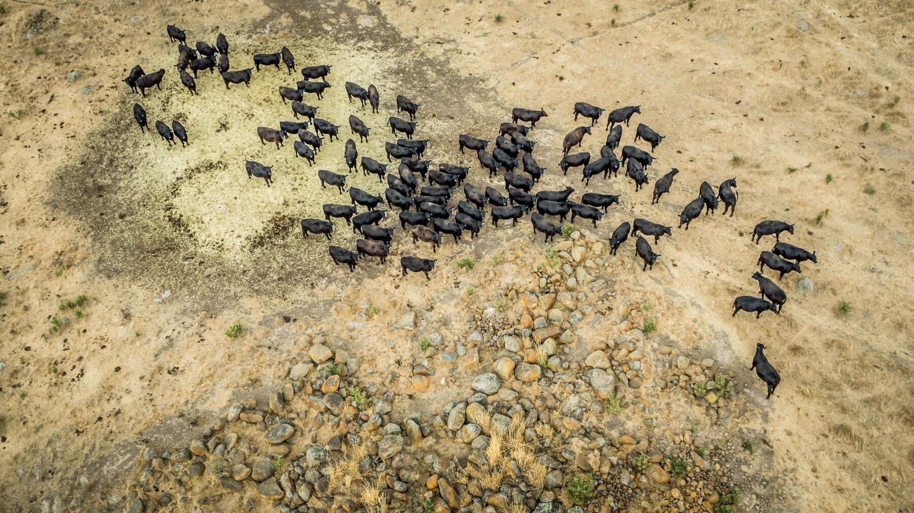 Volatile supply, global uncertainty, and sharp contrasts define early 2025